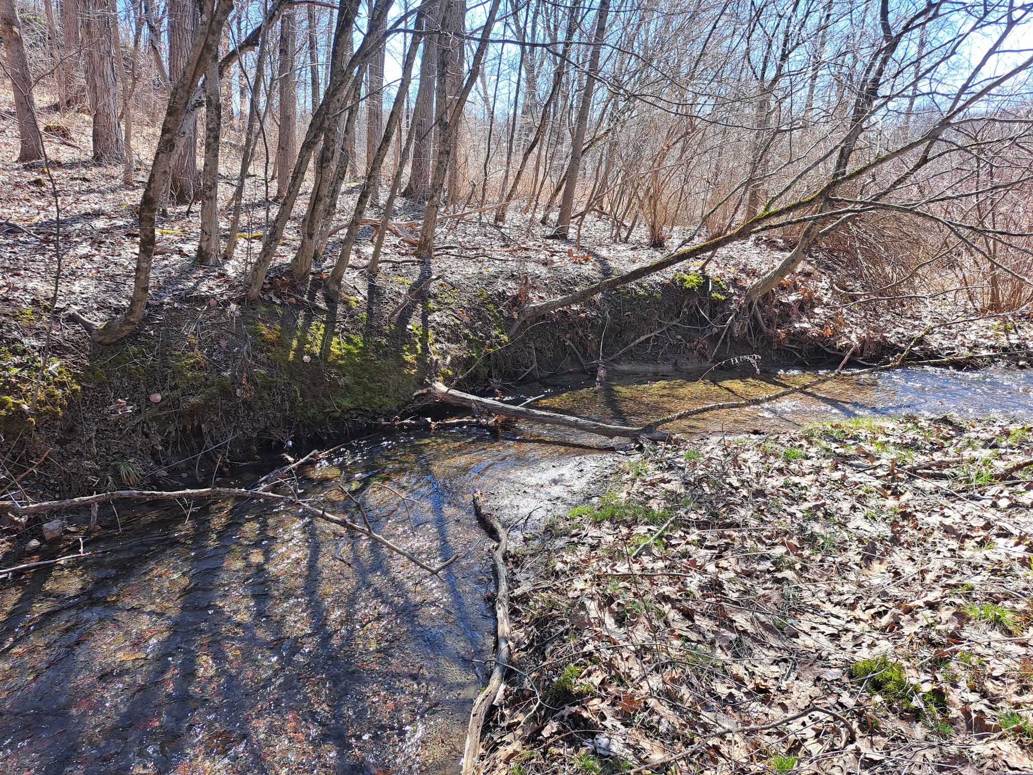 Listing Image 8