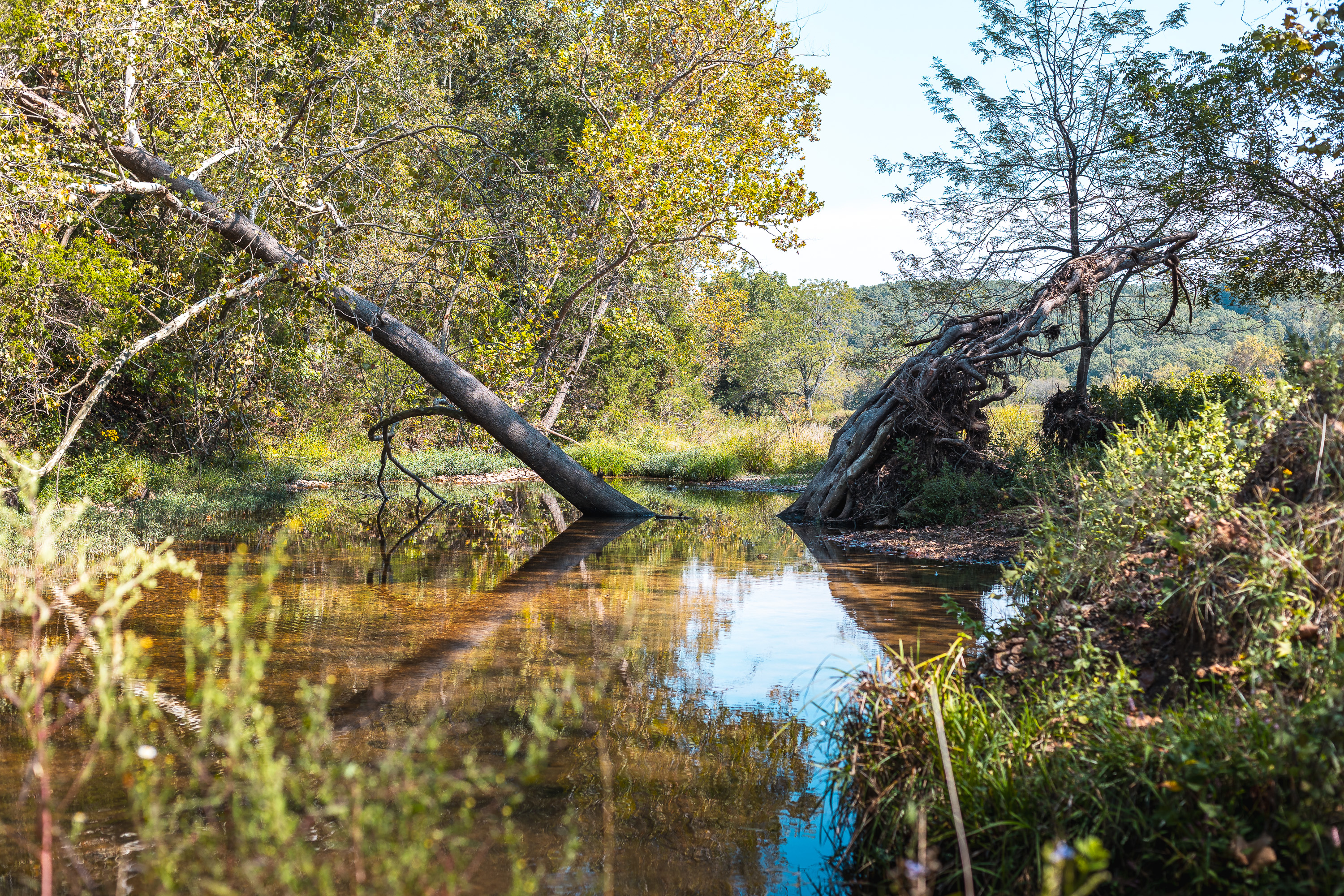Ashley Creek Ranch 329