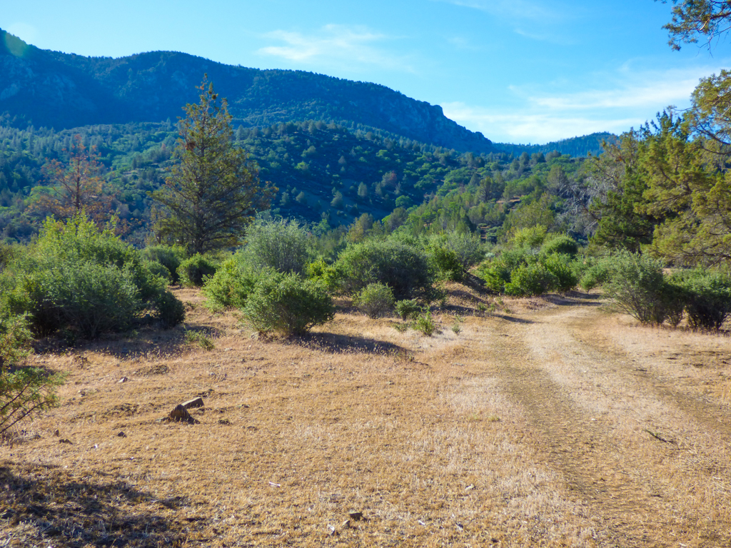 Blacktail Hills Retreat