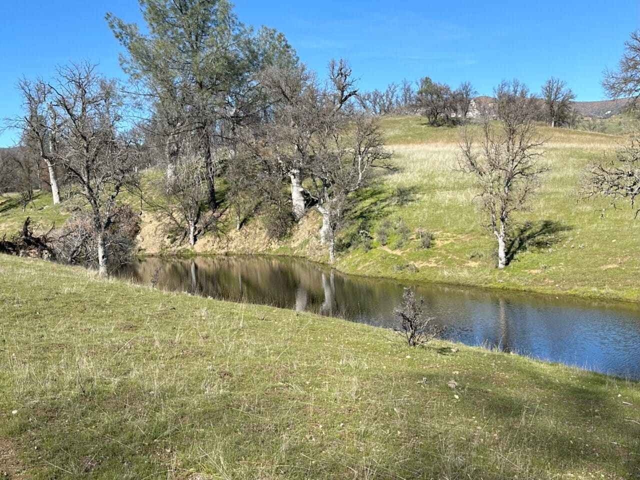 Bella Vista