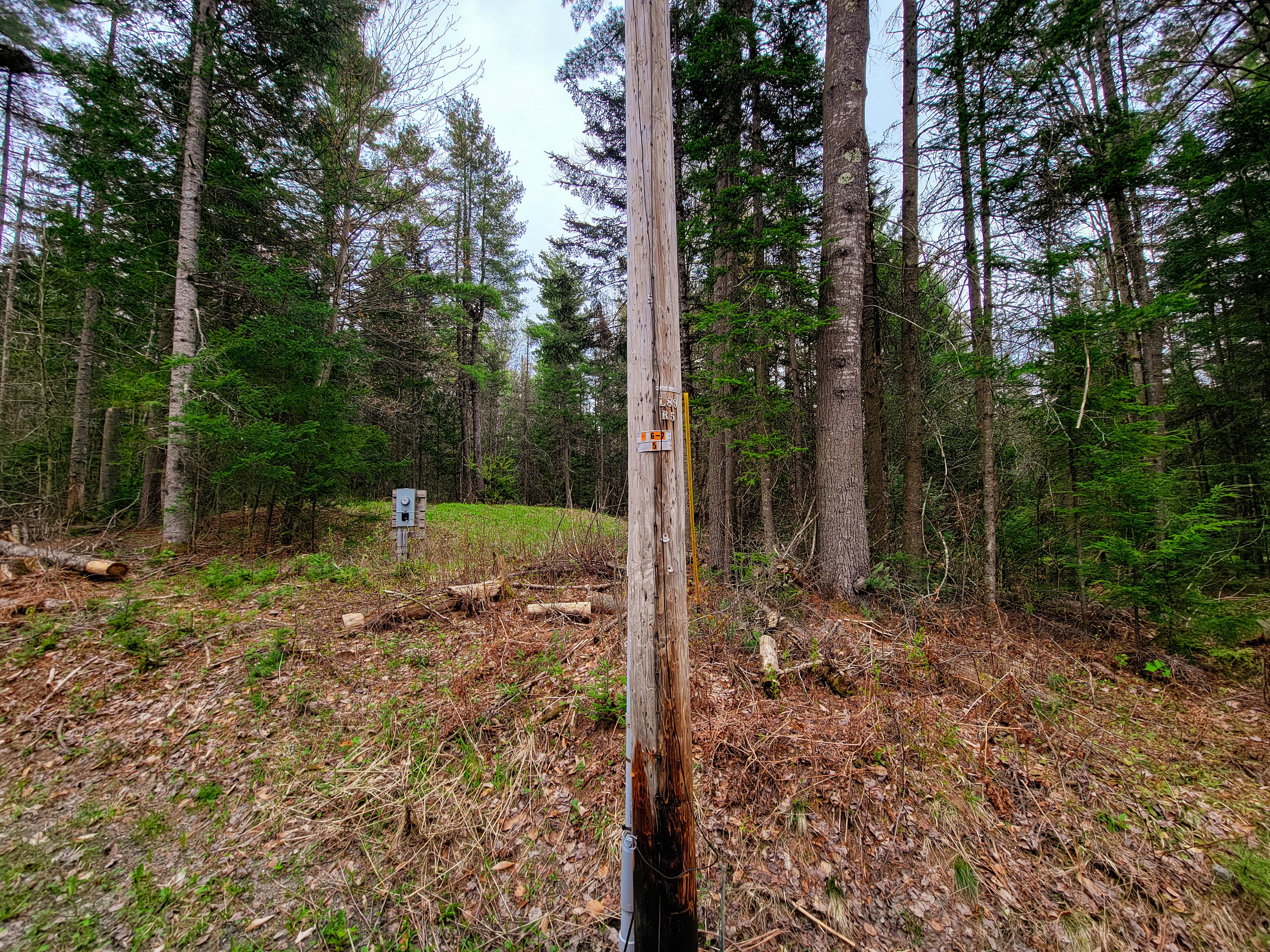 Listing Image 17