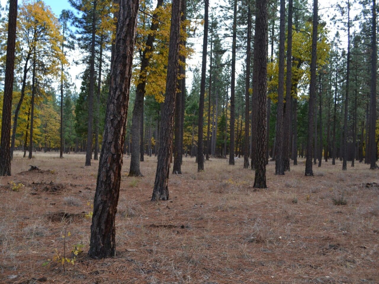 Listing Image 13