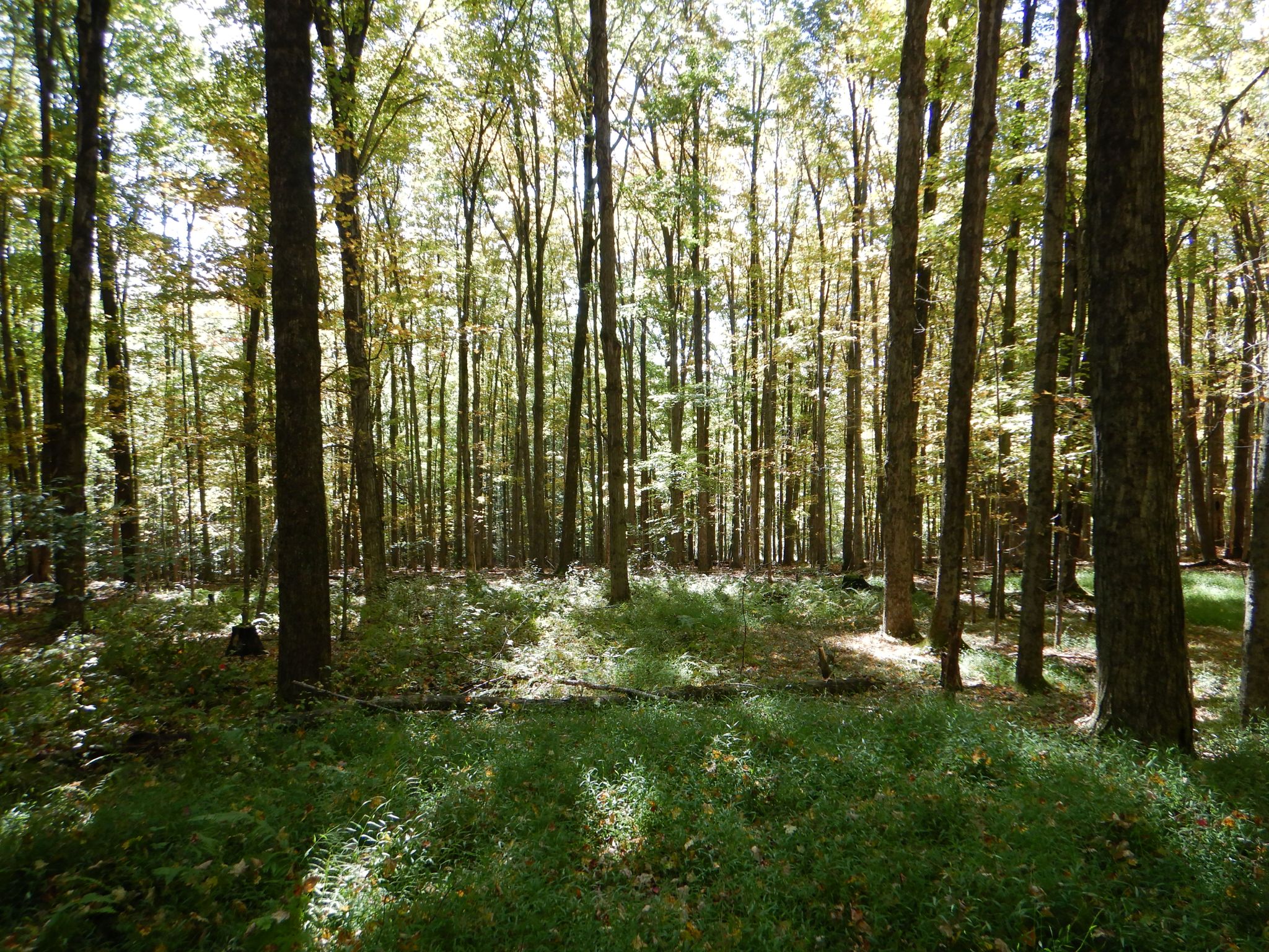 Listing Image 35
