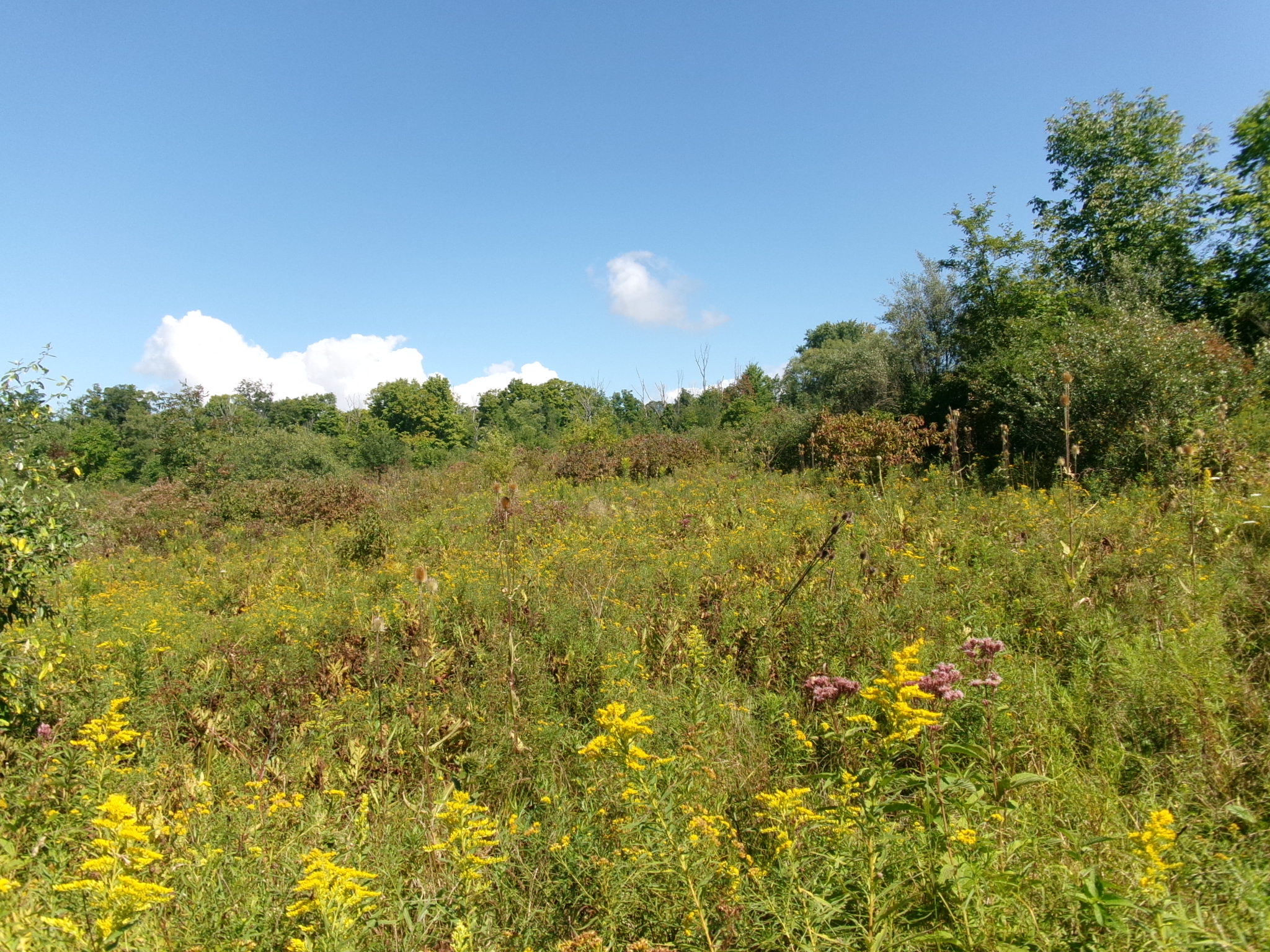 Listing Image 17
