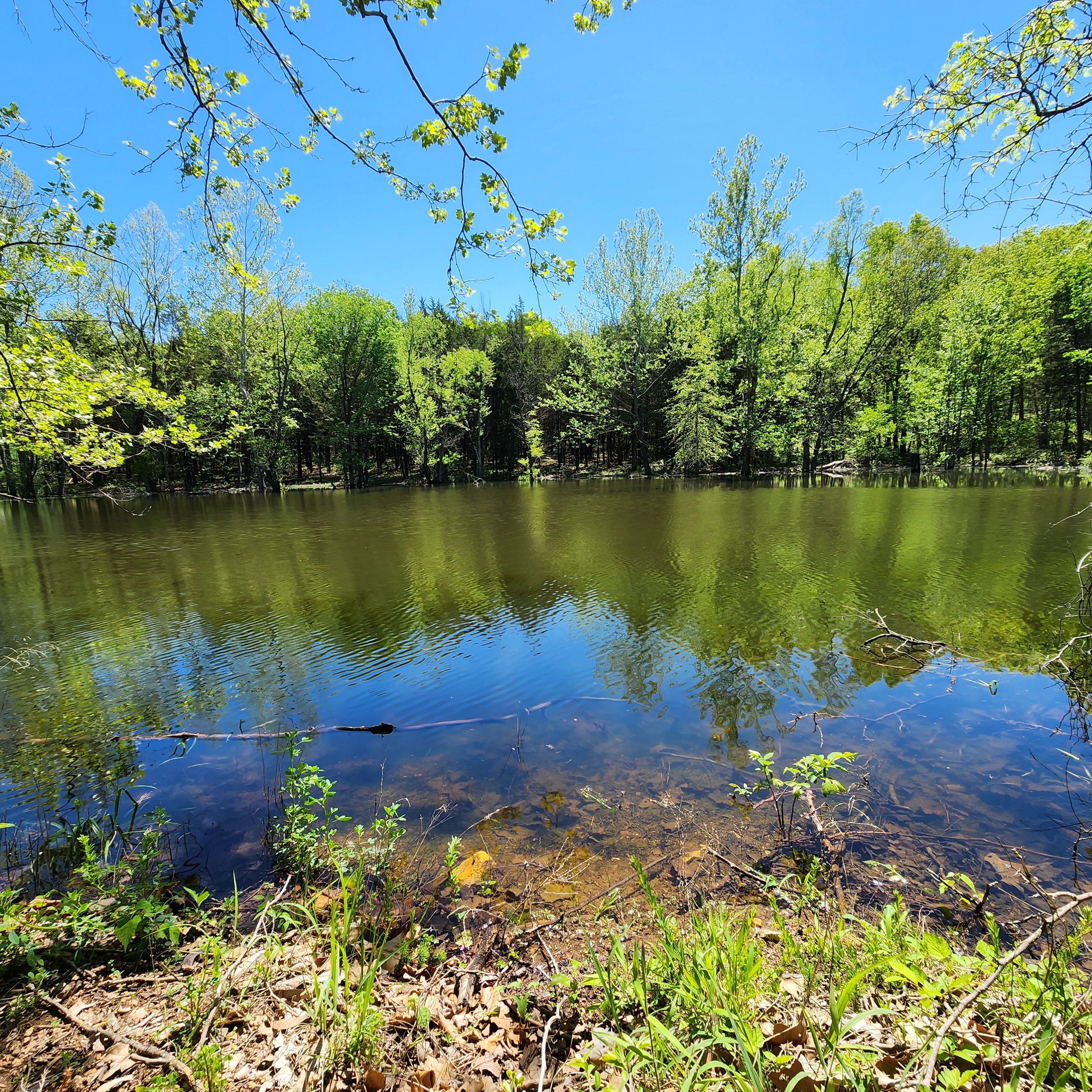 Listing Image 15