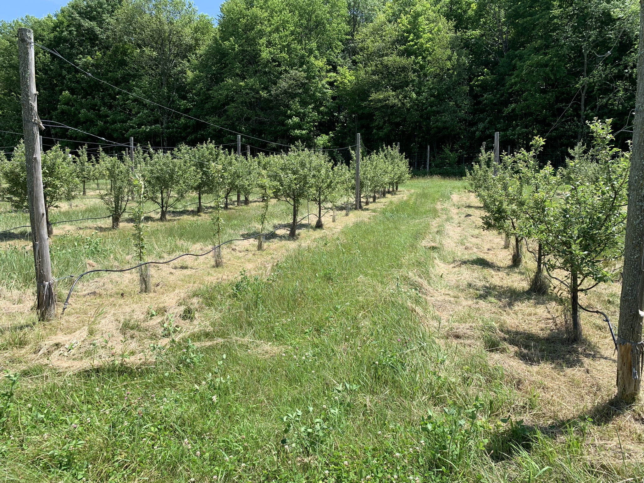 Listing Image 27
