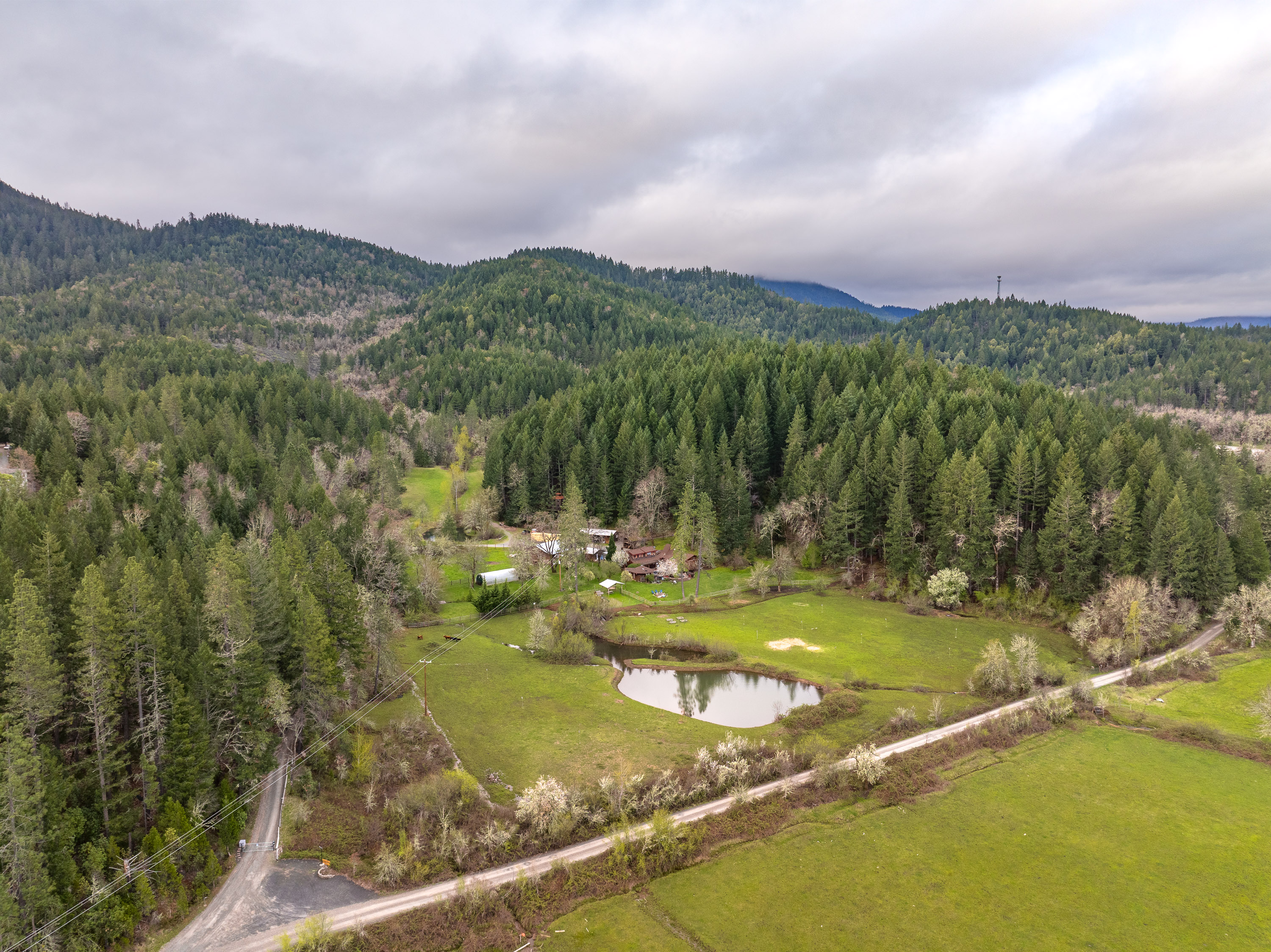 Listing Image 68