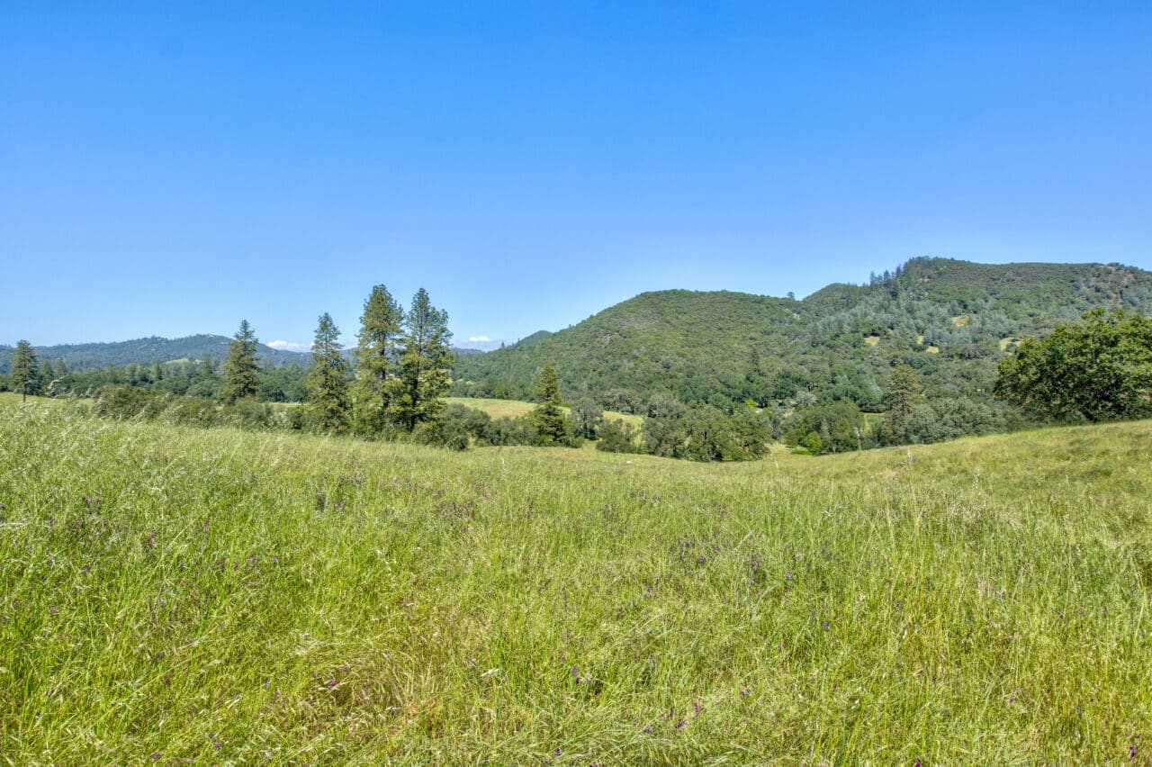 Listing Image 71