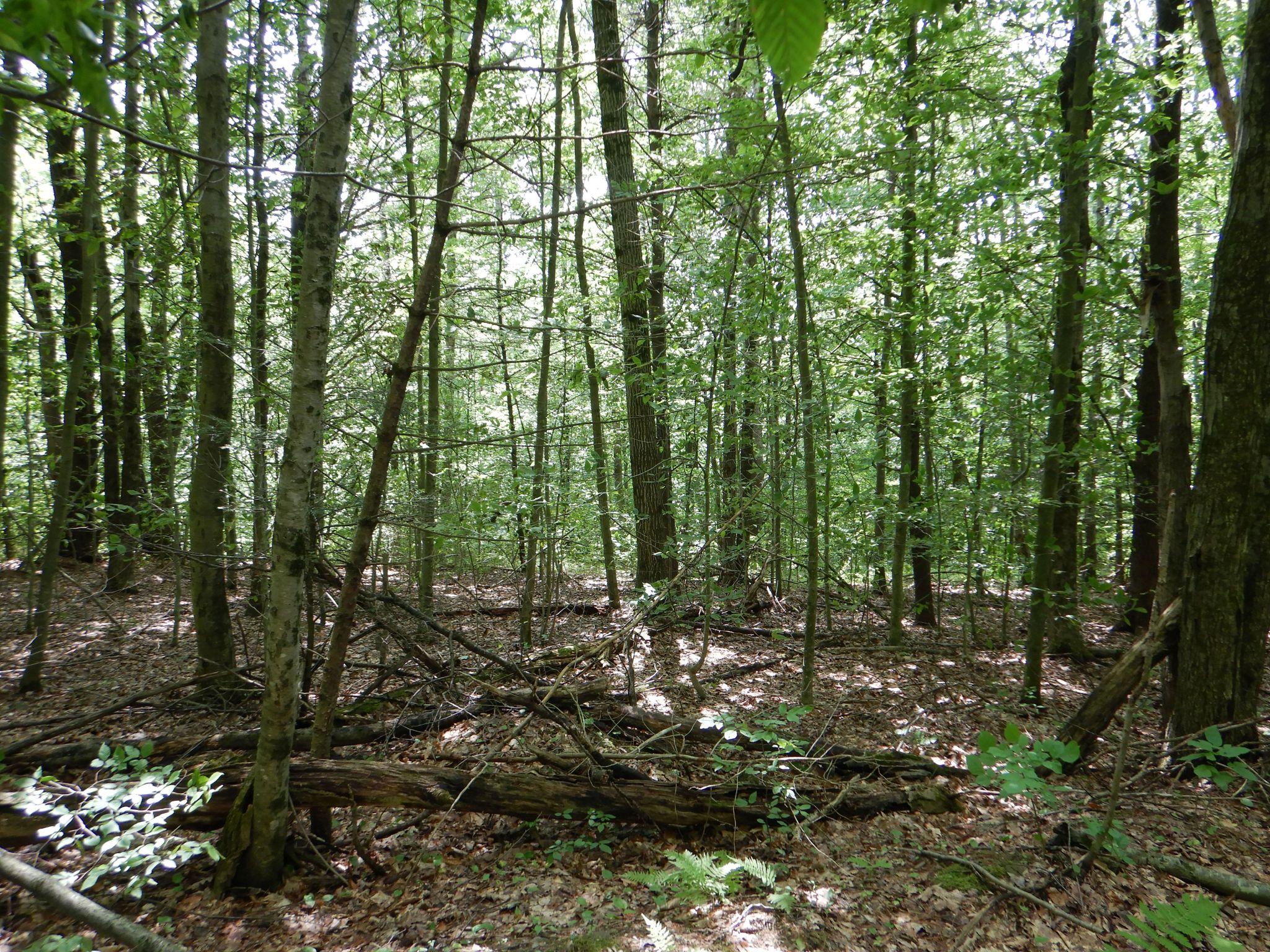 Listing Image 7