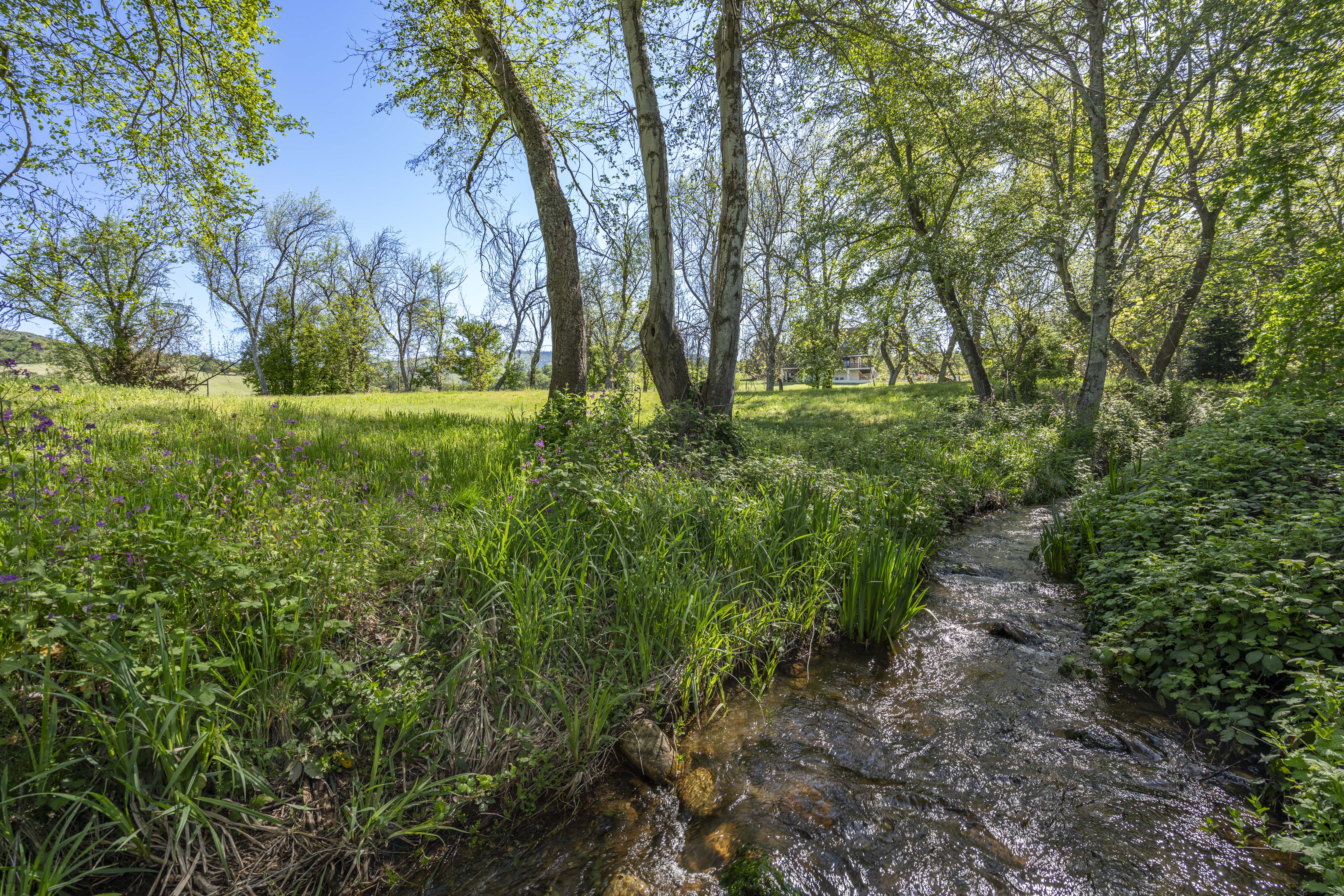Listing Image 54