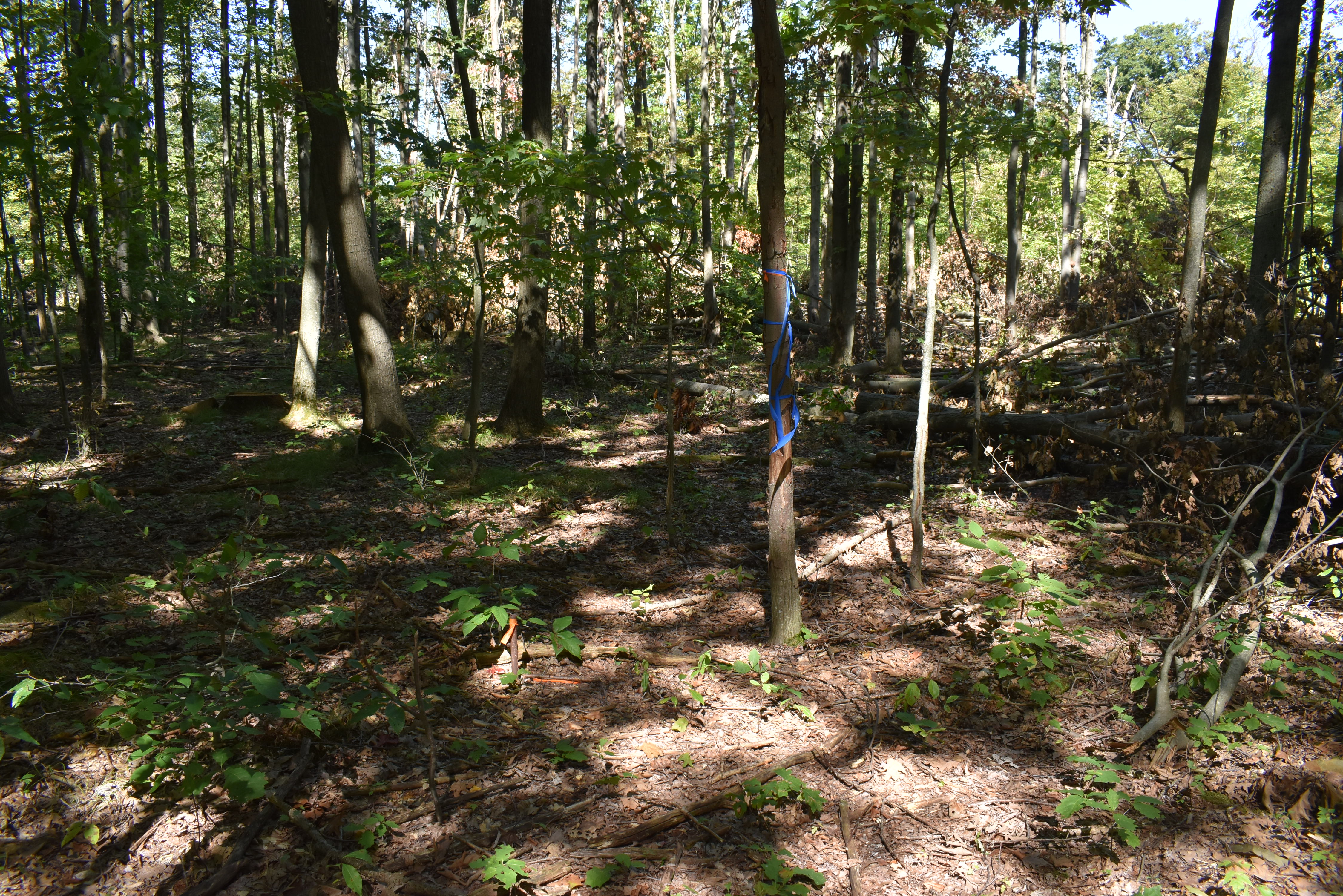 Hunter's Hidden Treasure