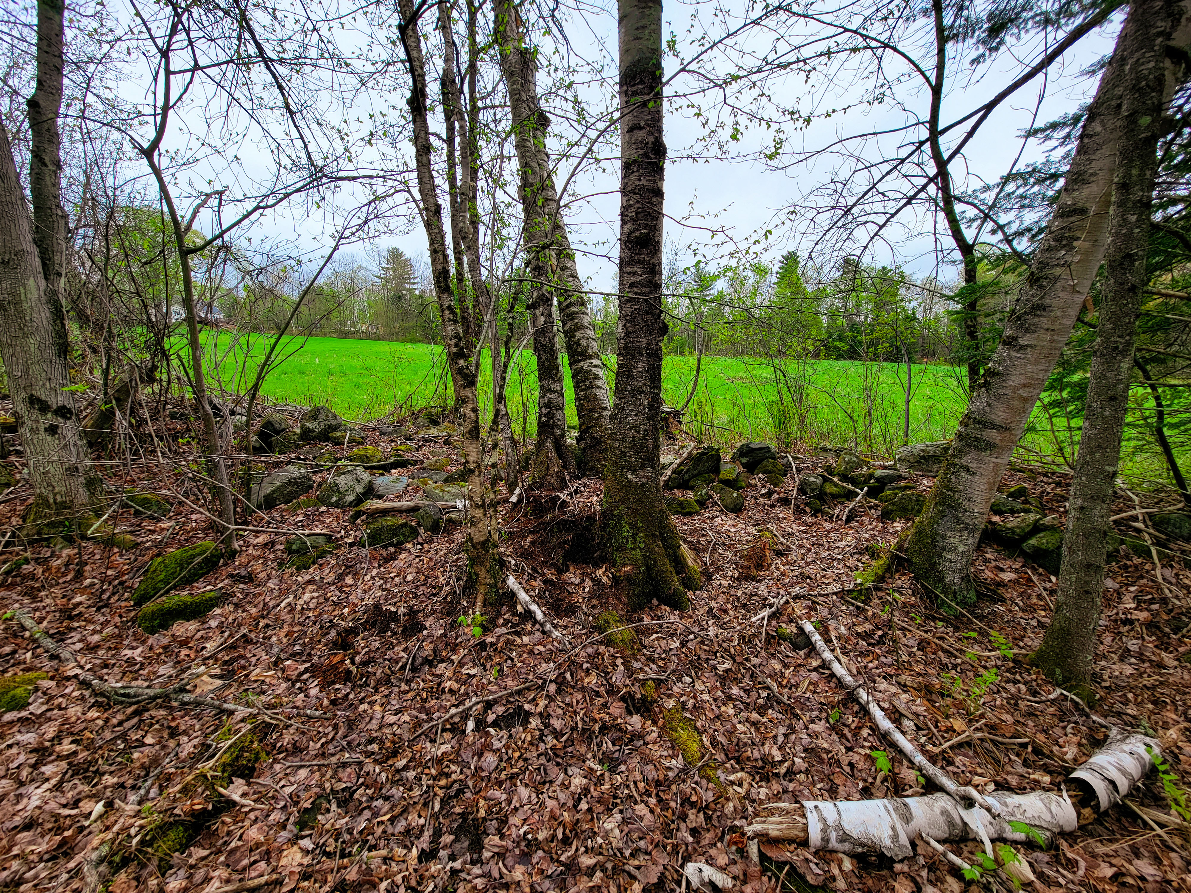 855 Campbell Rd - Waterford