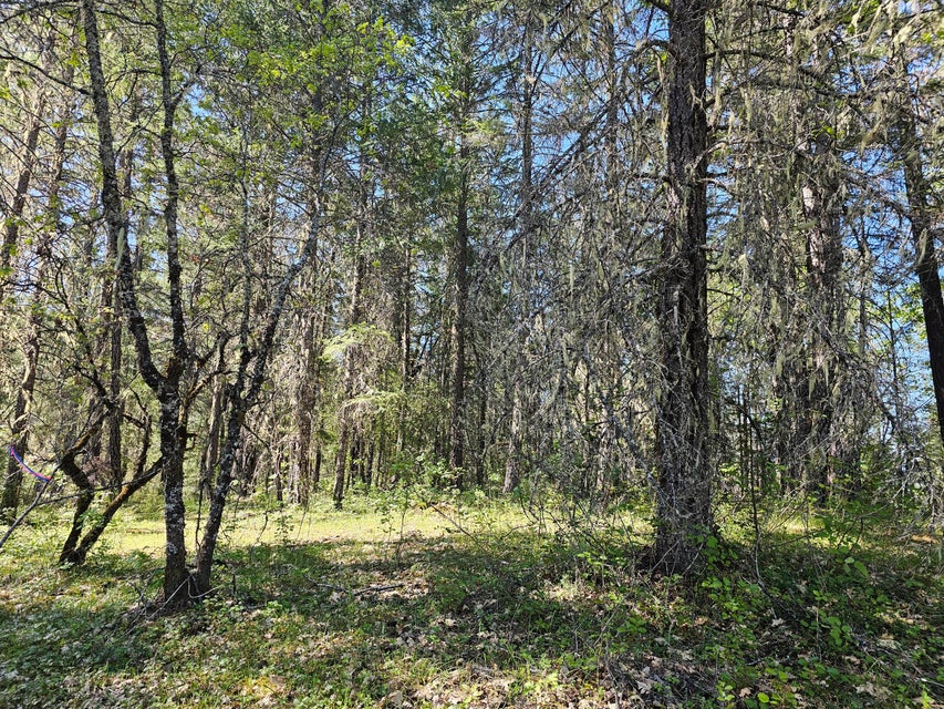 Listing Image 44