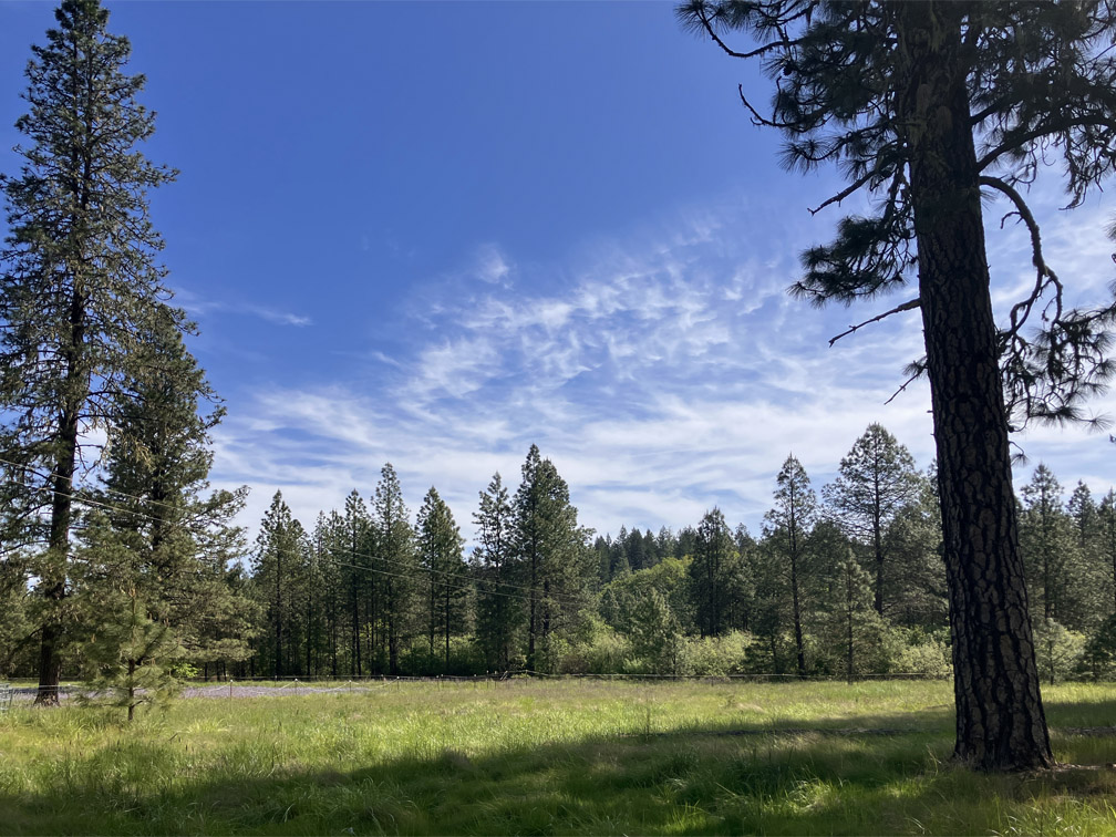 Listing Image 45