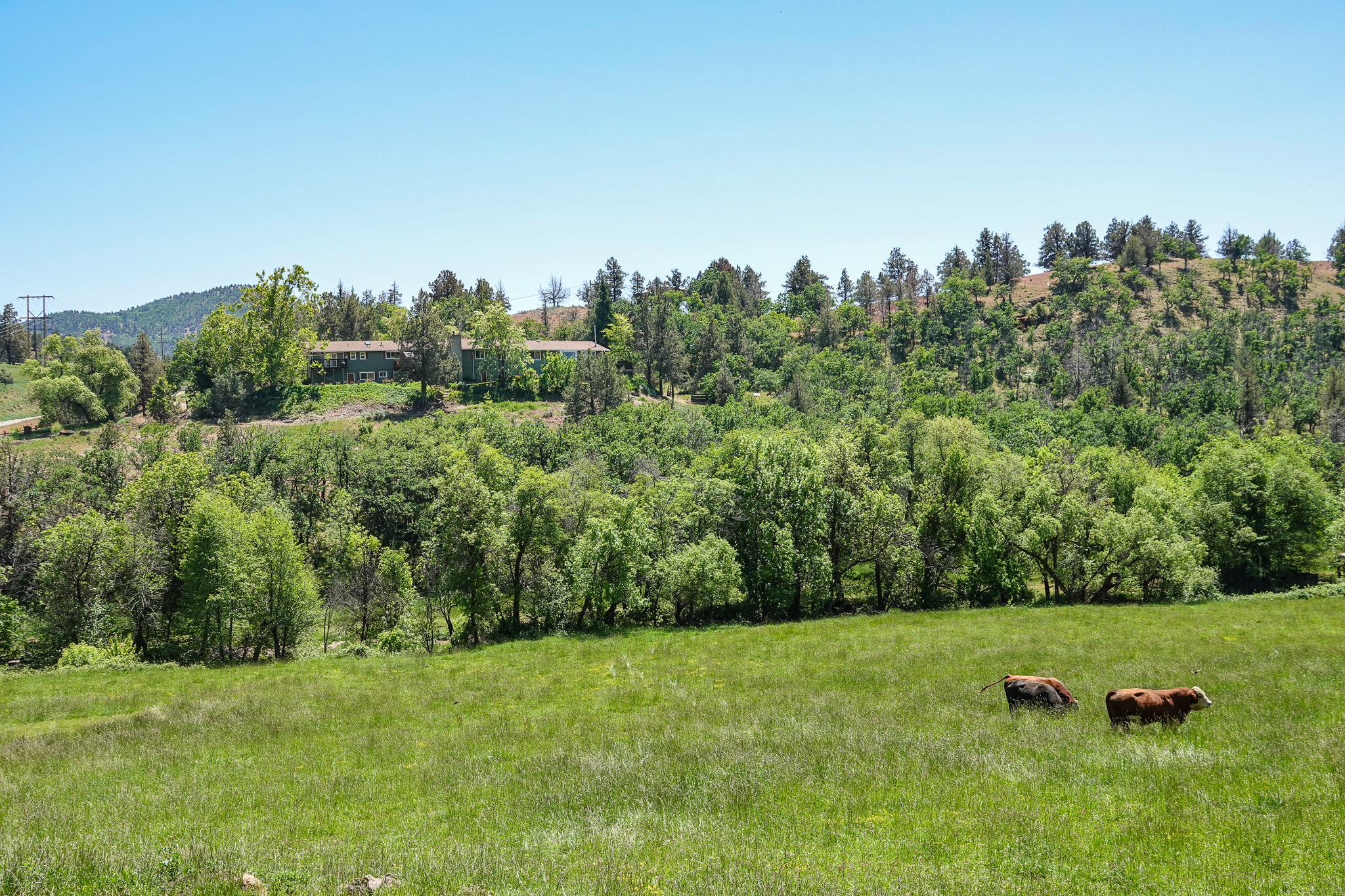MJ Ranch