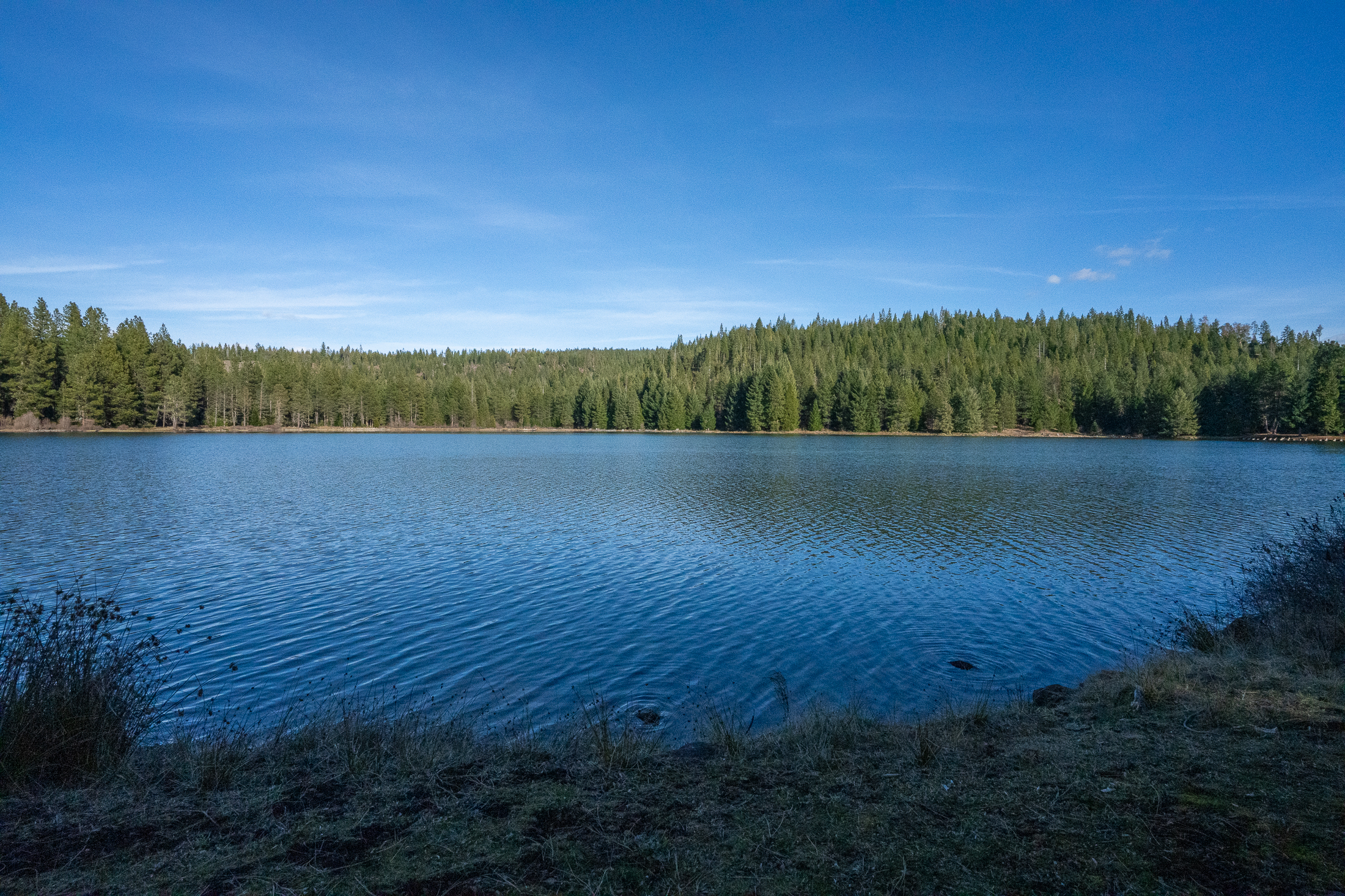 Medco Pond- Recreational Retreat