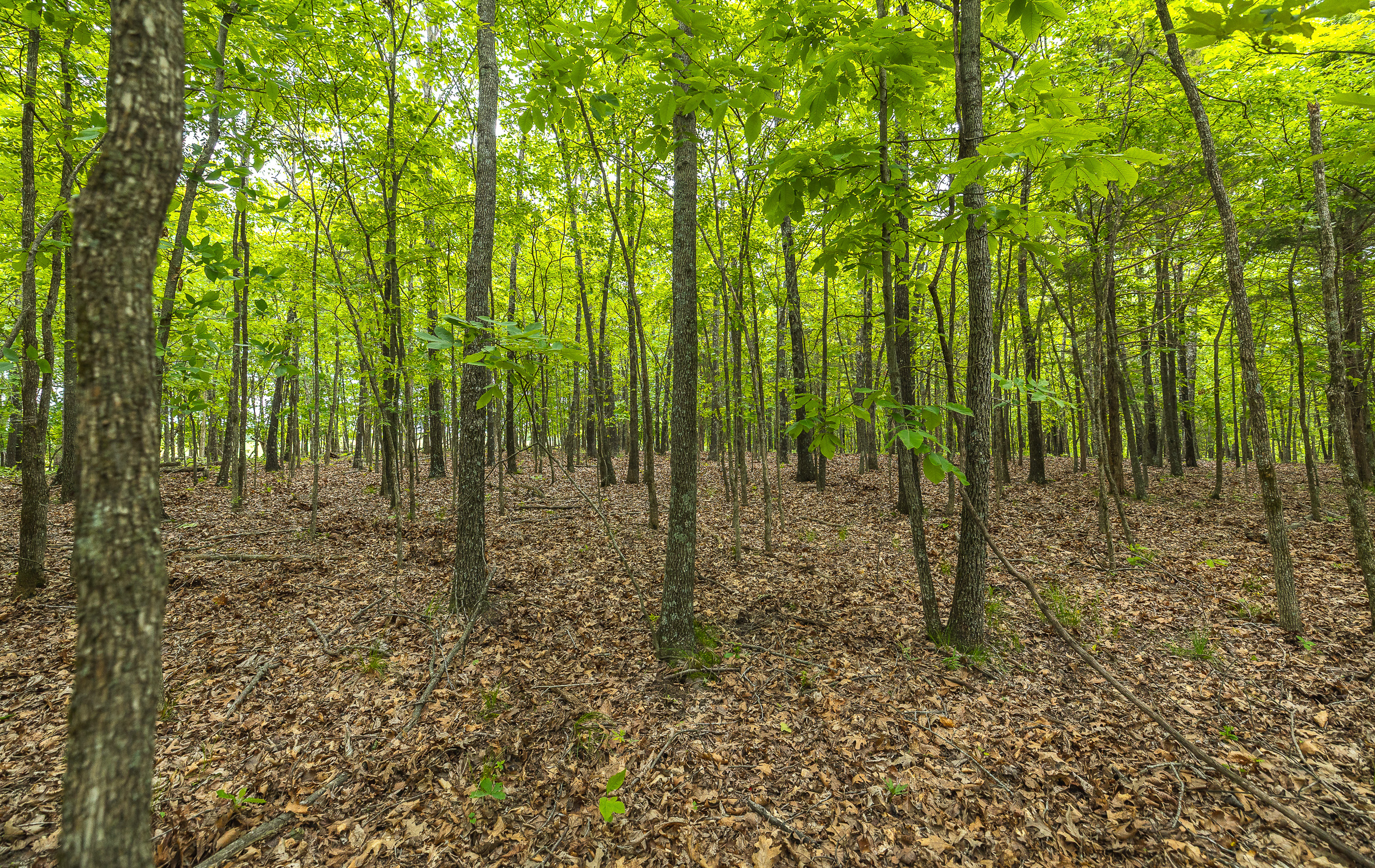 Waters Edge on the Gasconade River Tract 1