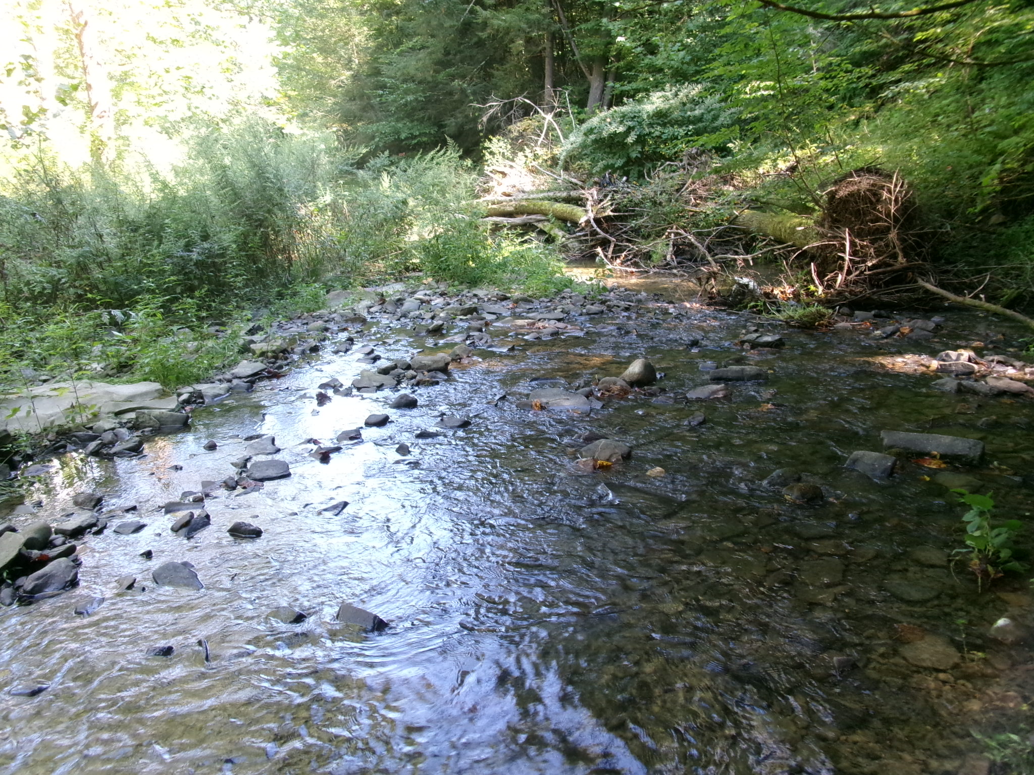 Listing Image 54
