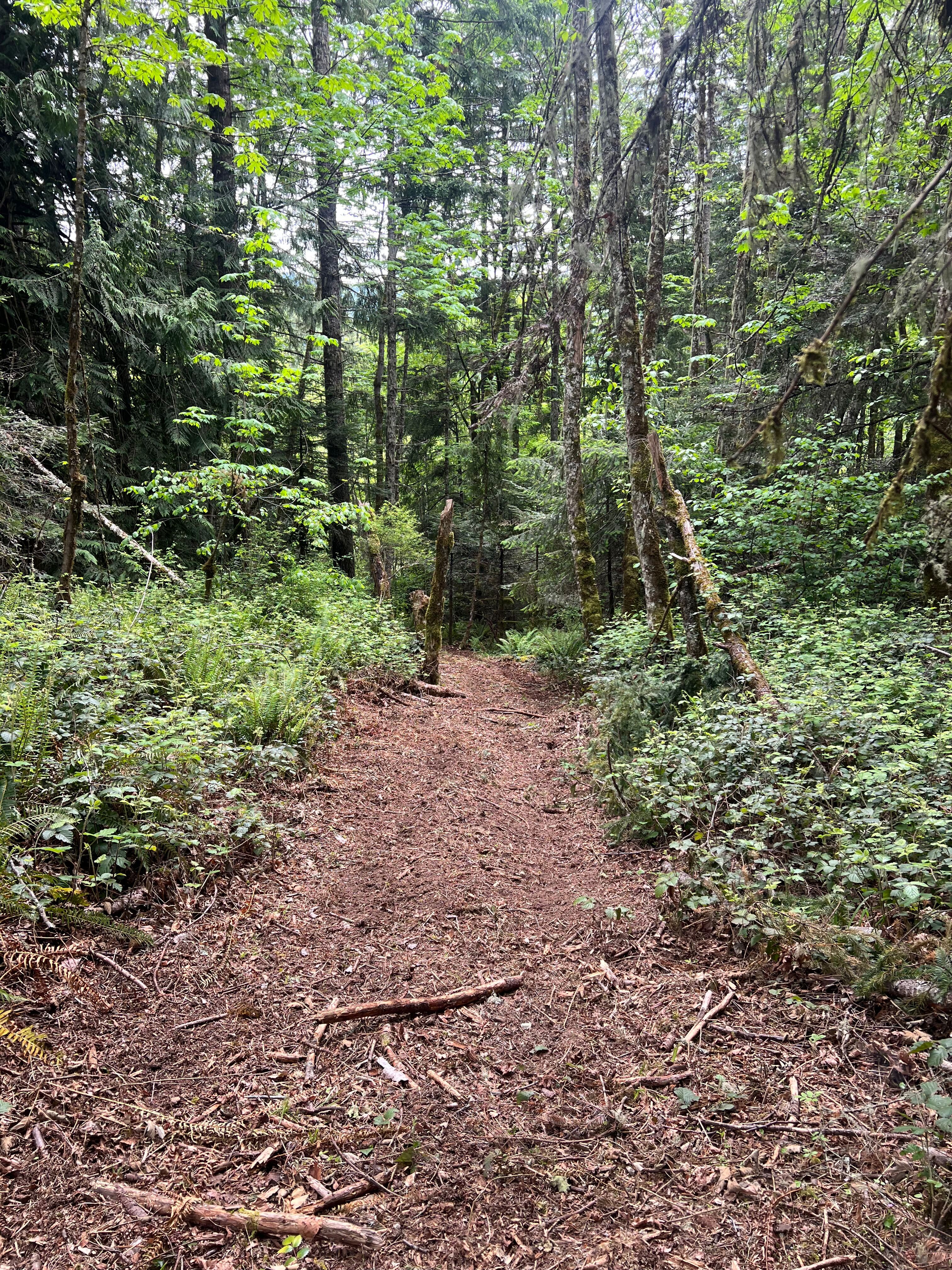 83715 Peninsula Rd Fall Creek OR