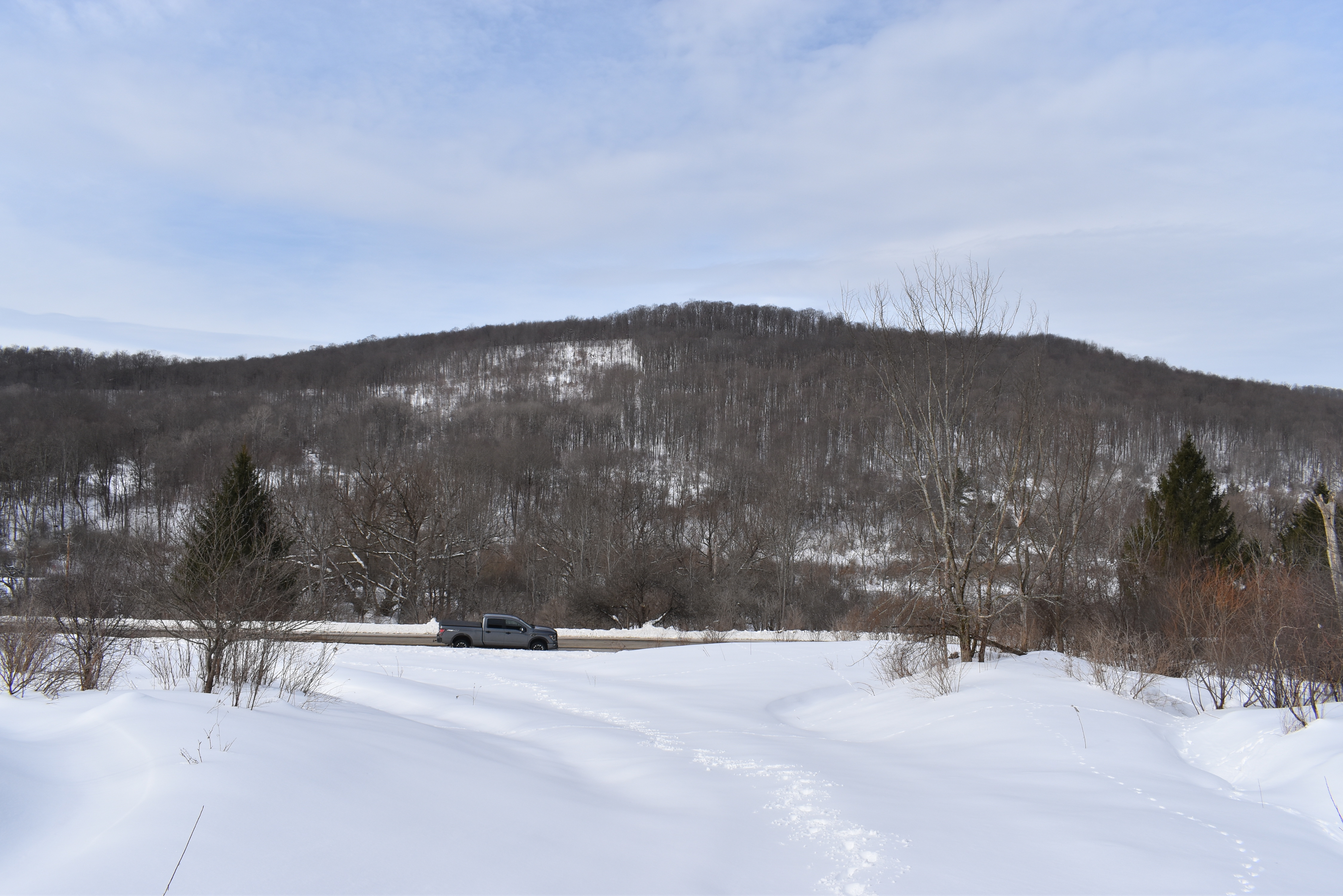 Morgan Hollow
