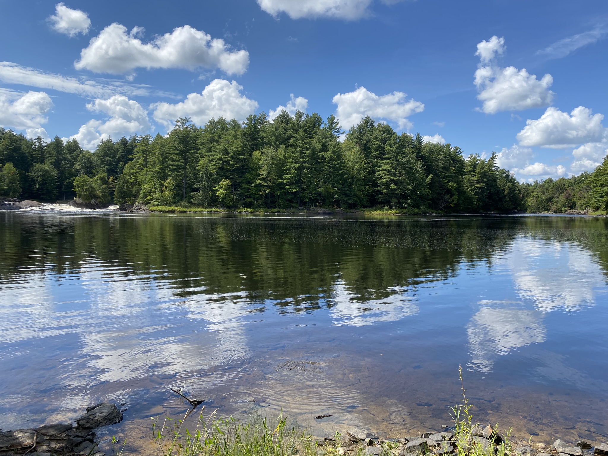 Listing Image 41