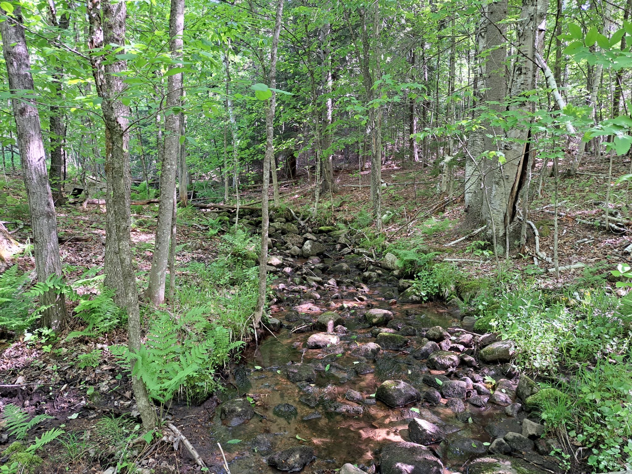 Listing Image 83