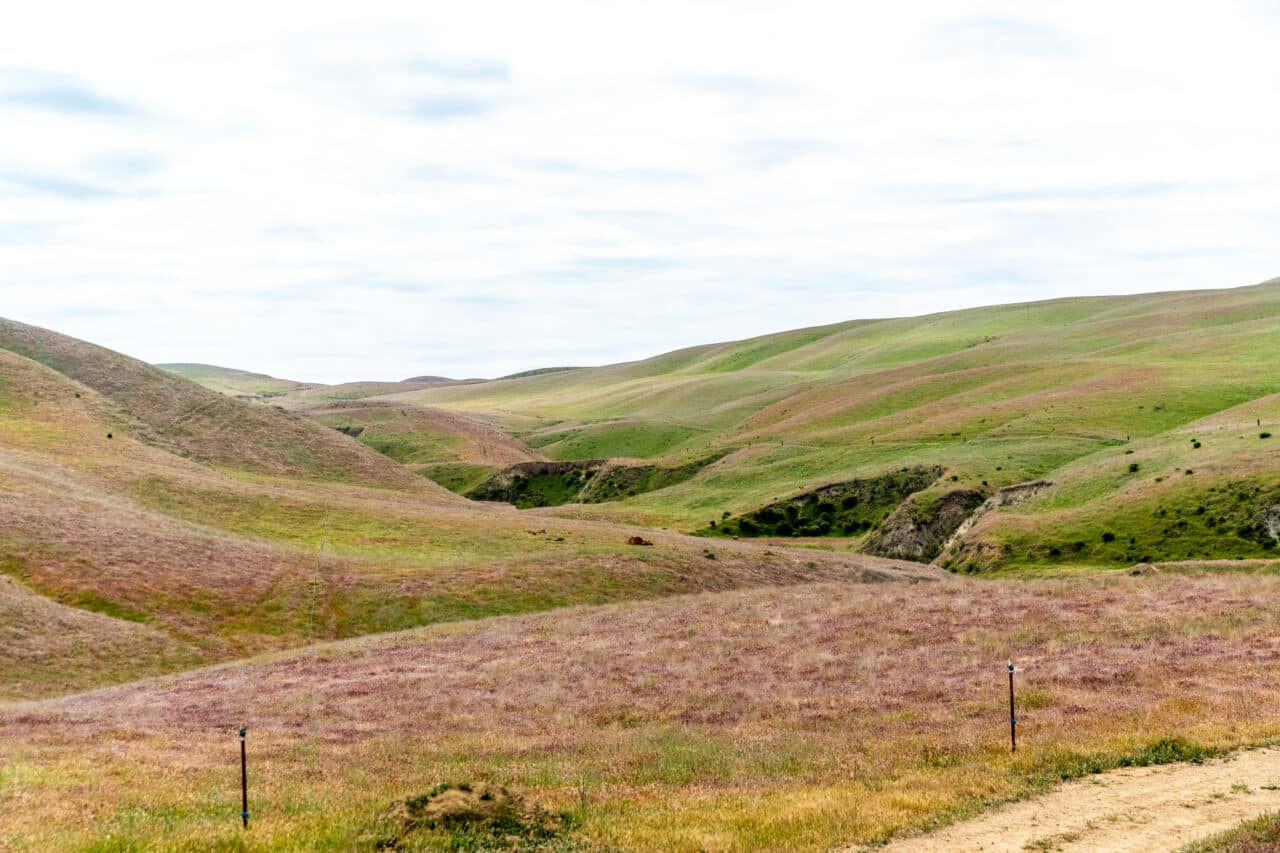 Pritchard Sumner Ranch