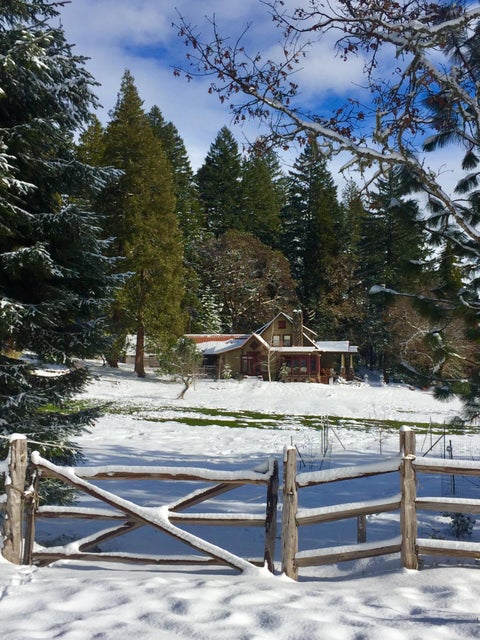Listing Image 102