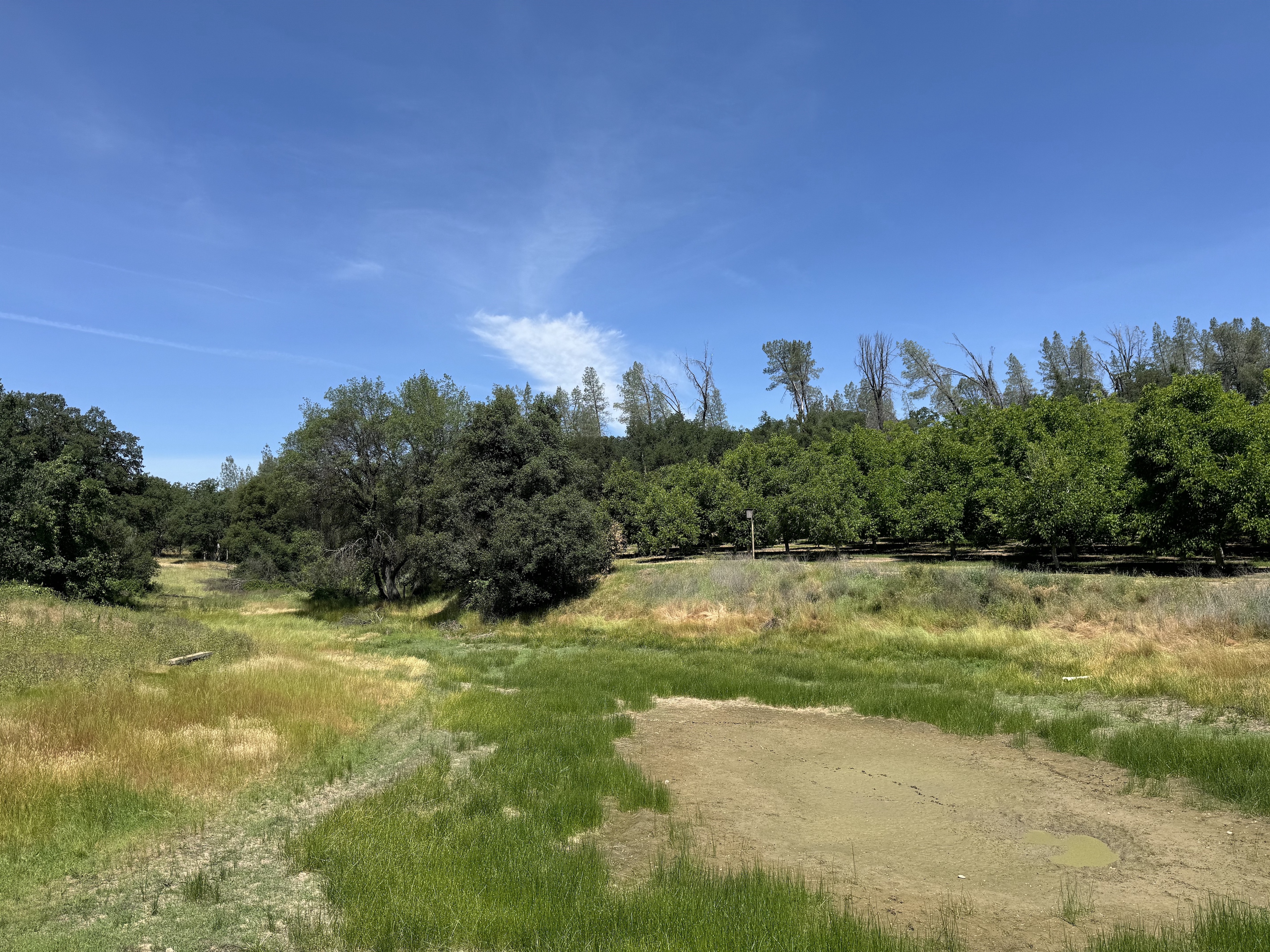 Listing Image 27