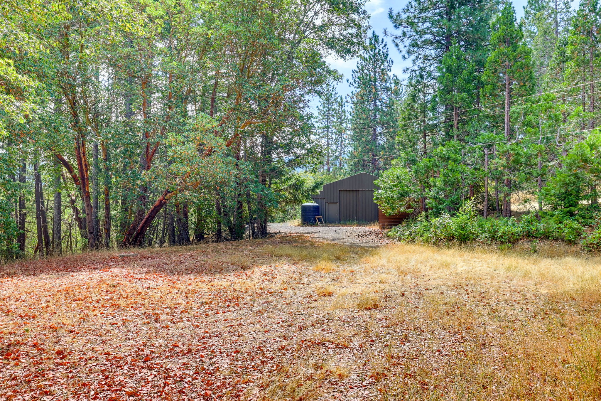 Listing Image 31