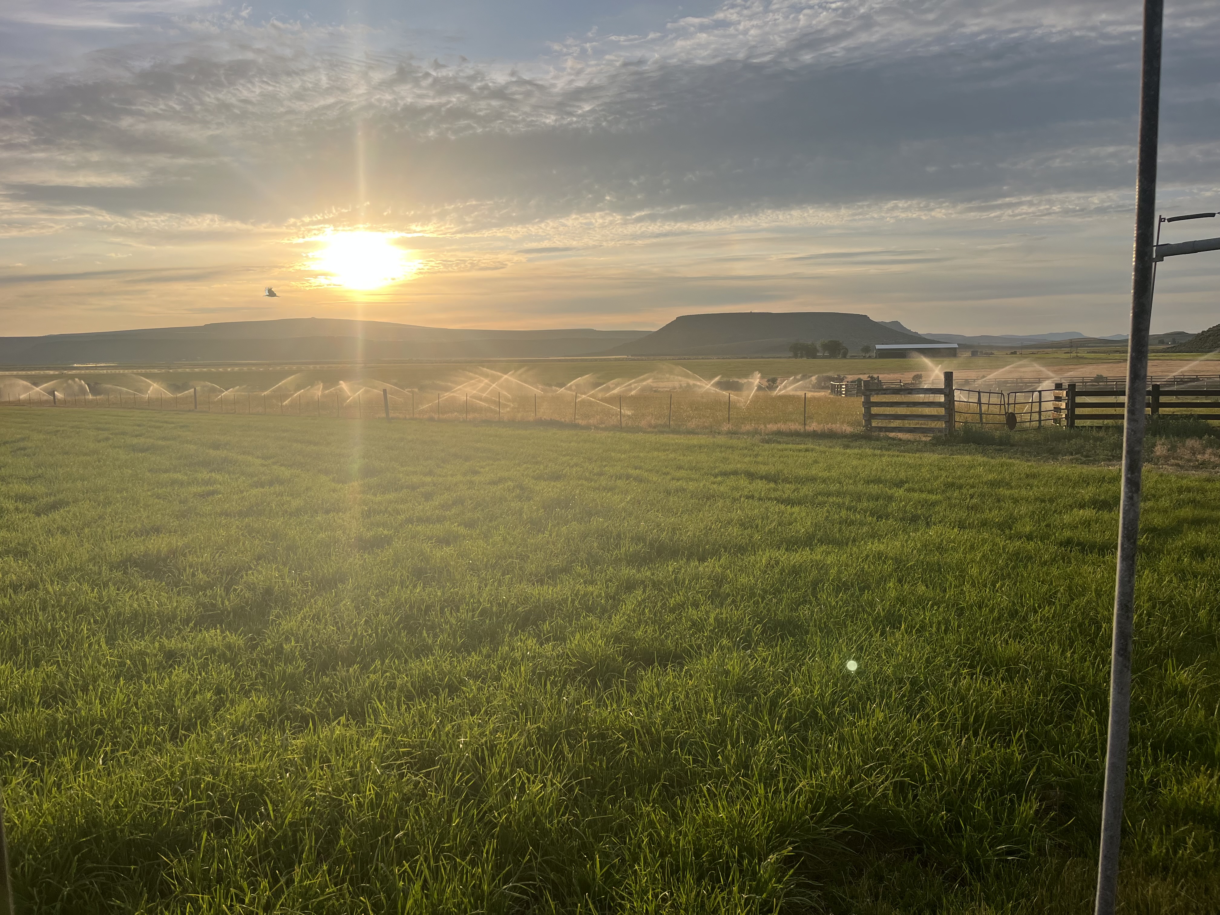 60646 Anderson Valley Rd, Princeton, OR