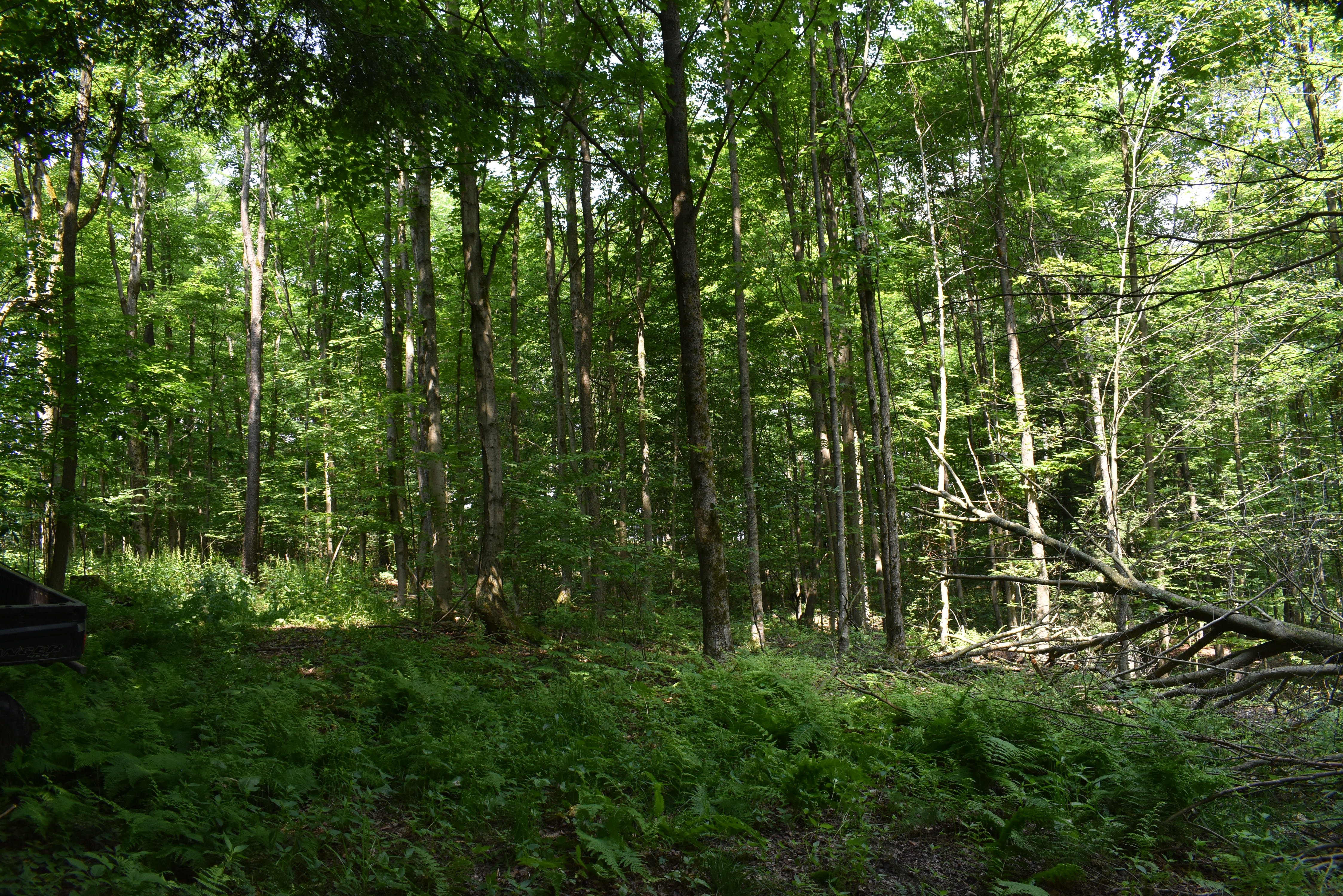 Listing Image 87