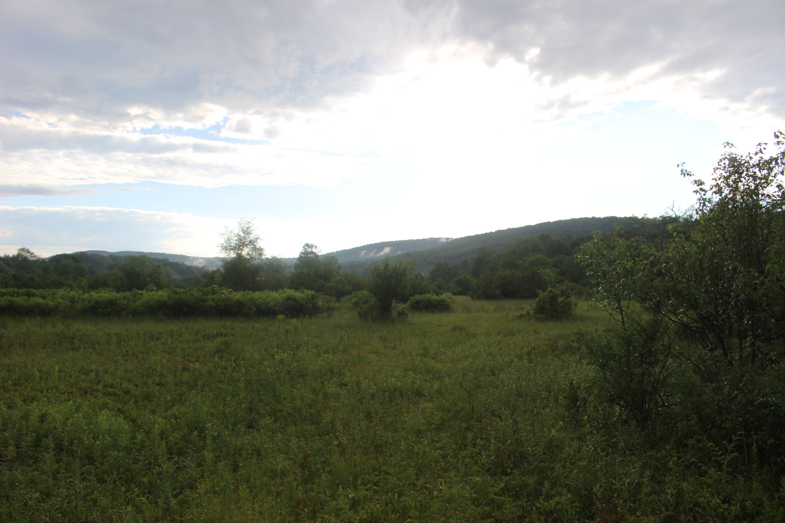 Dodge Creek