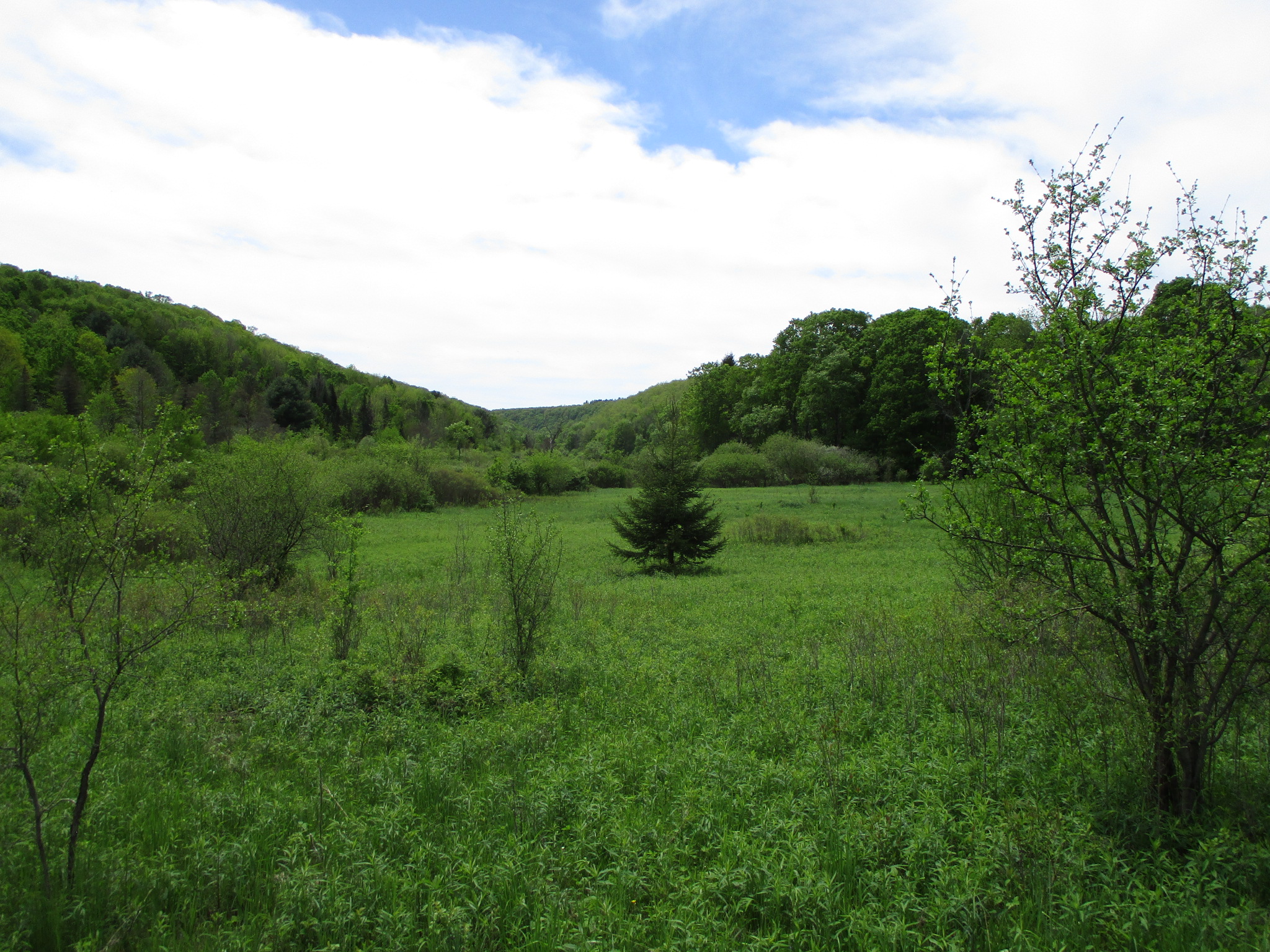 Legacy Land and Cabin