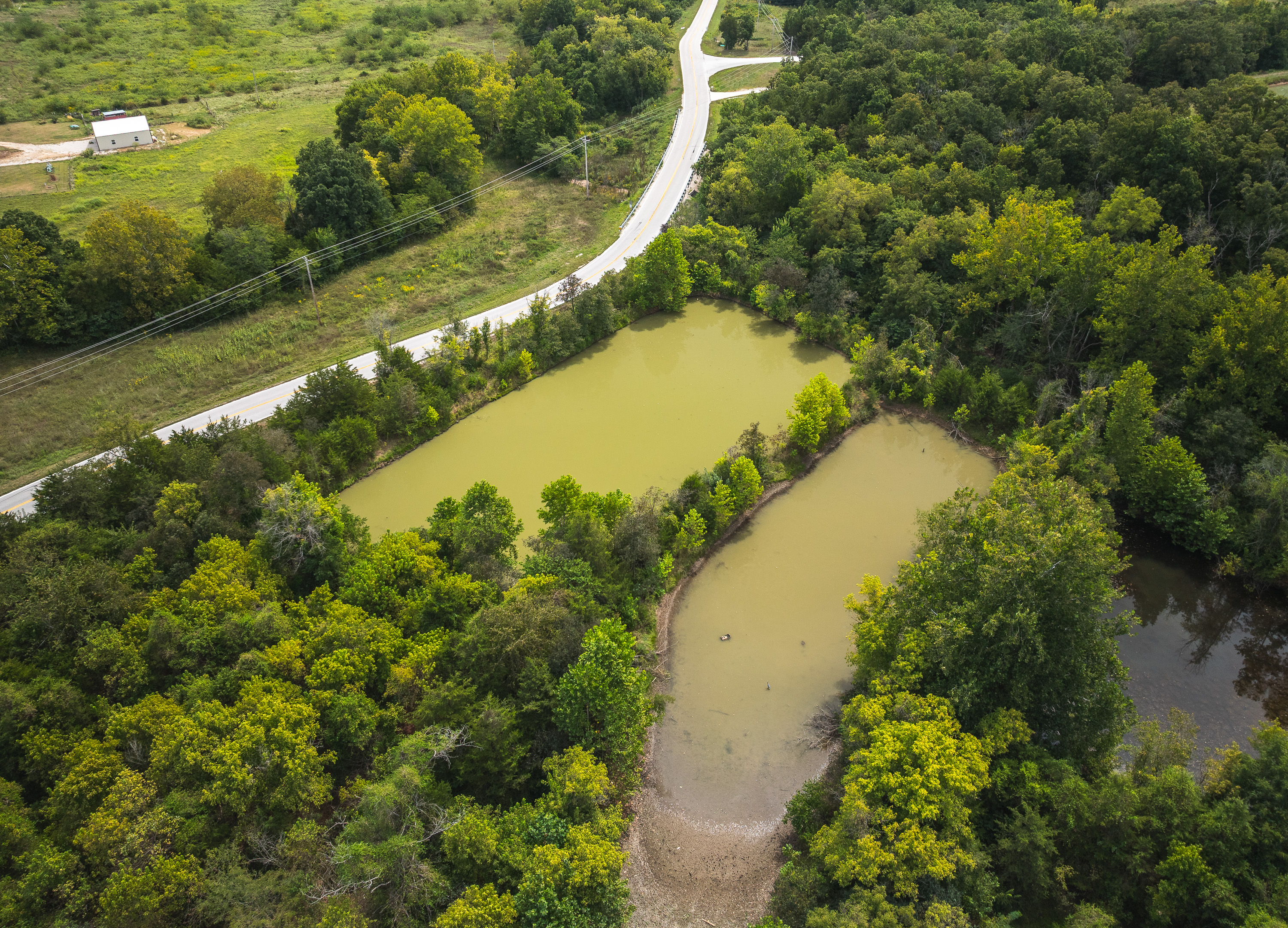 Hickory Hill Hollow