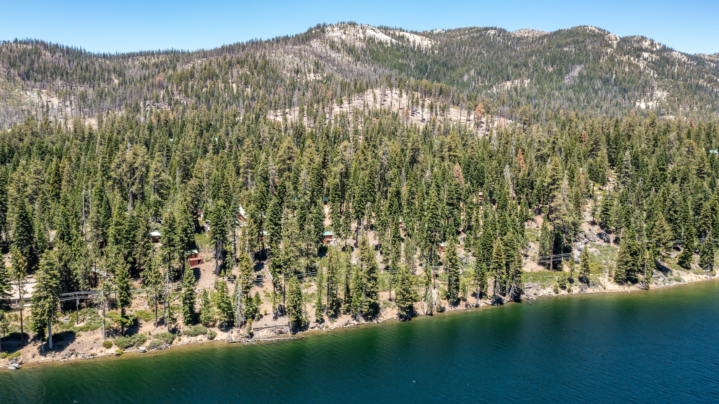 Listing Image 82