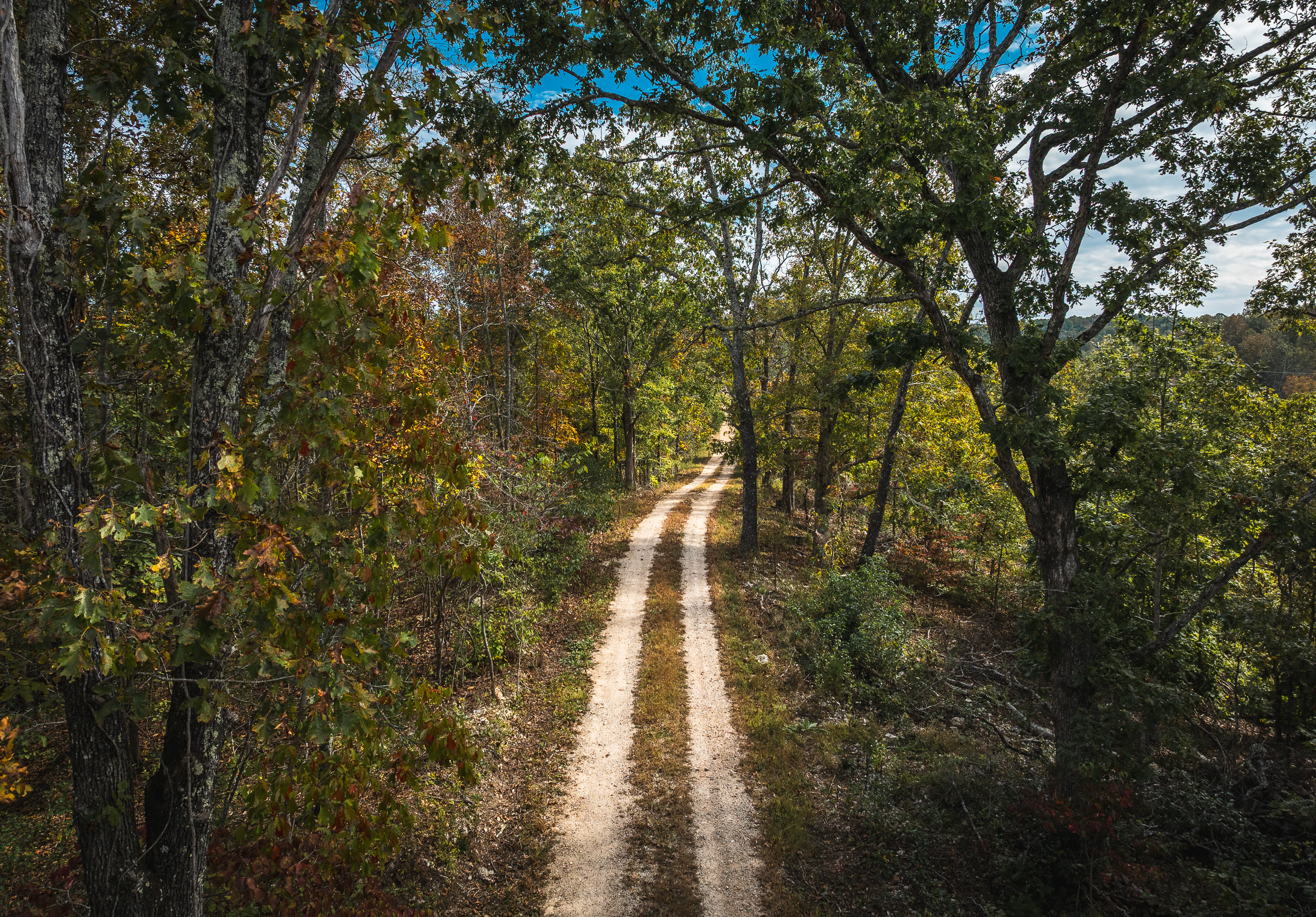 Little Gladden Creek Hunter