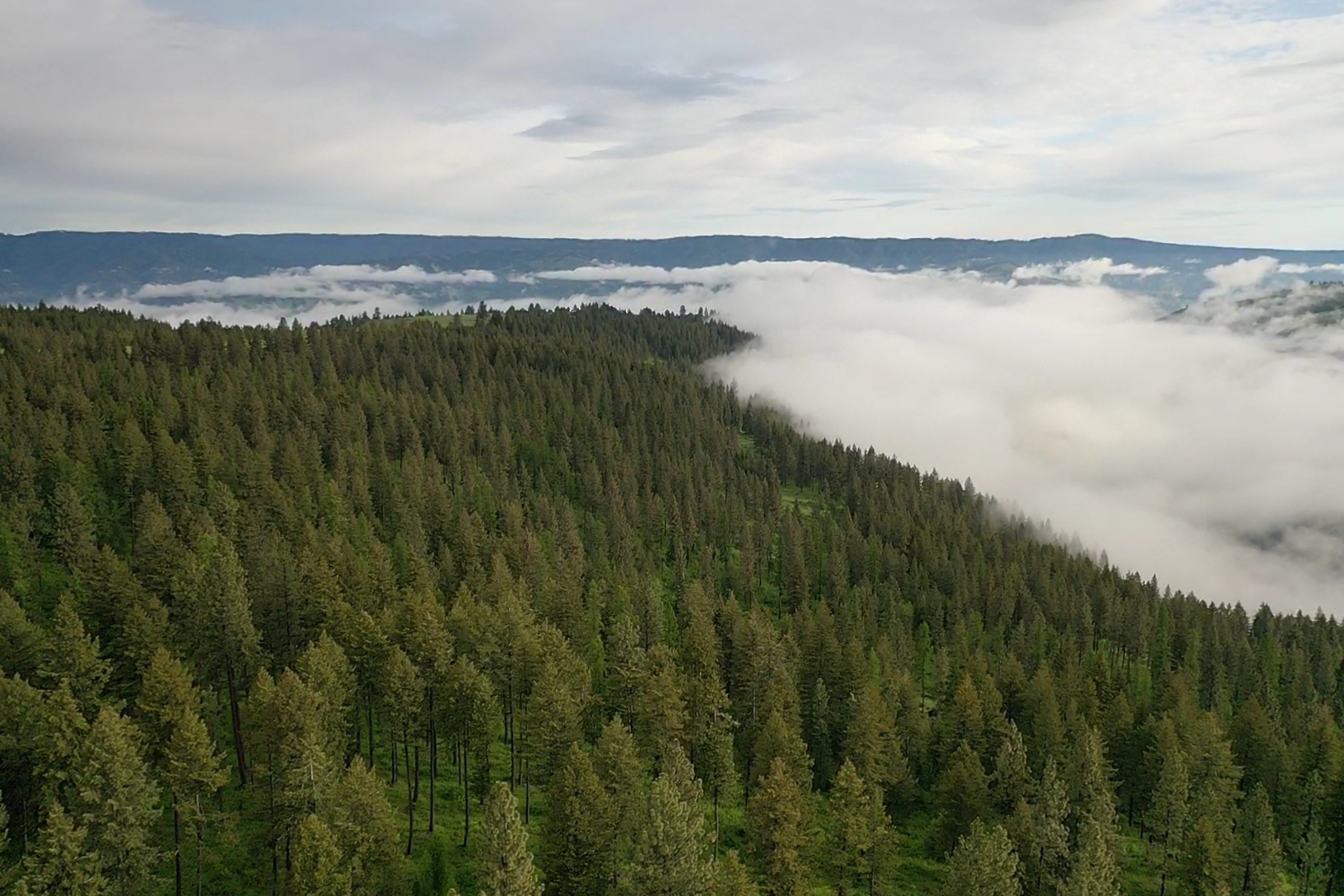 Buford Ridge Ranch