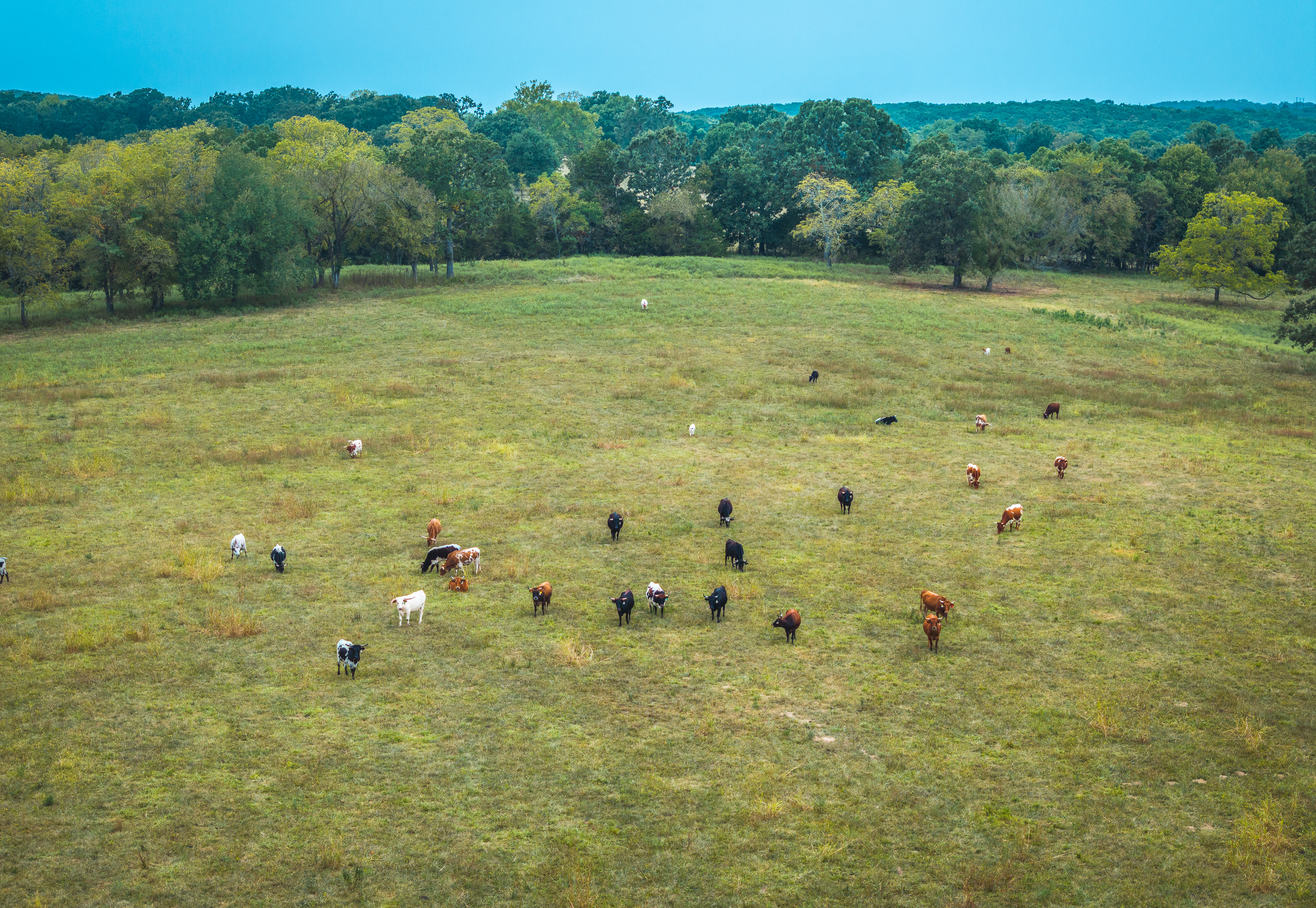 Twin Creek Farm