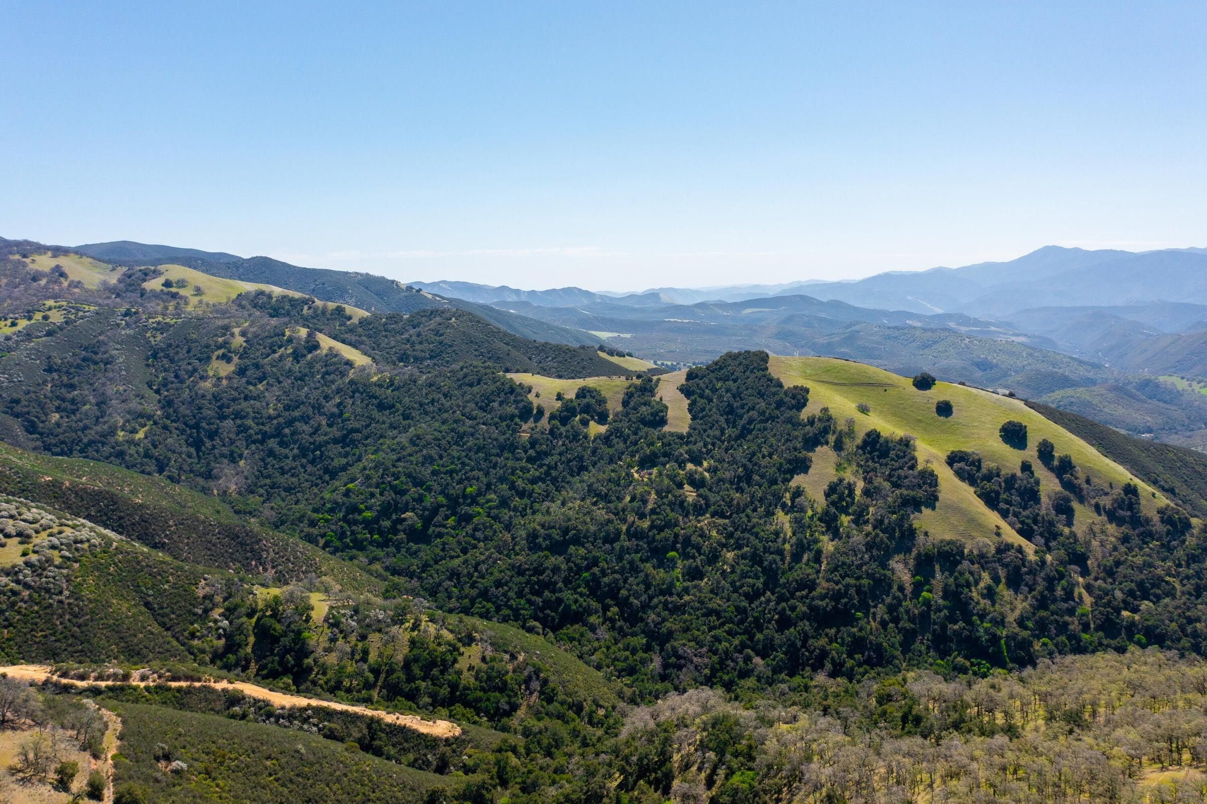 Palo Escrito Ranch