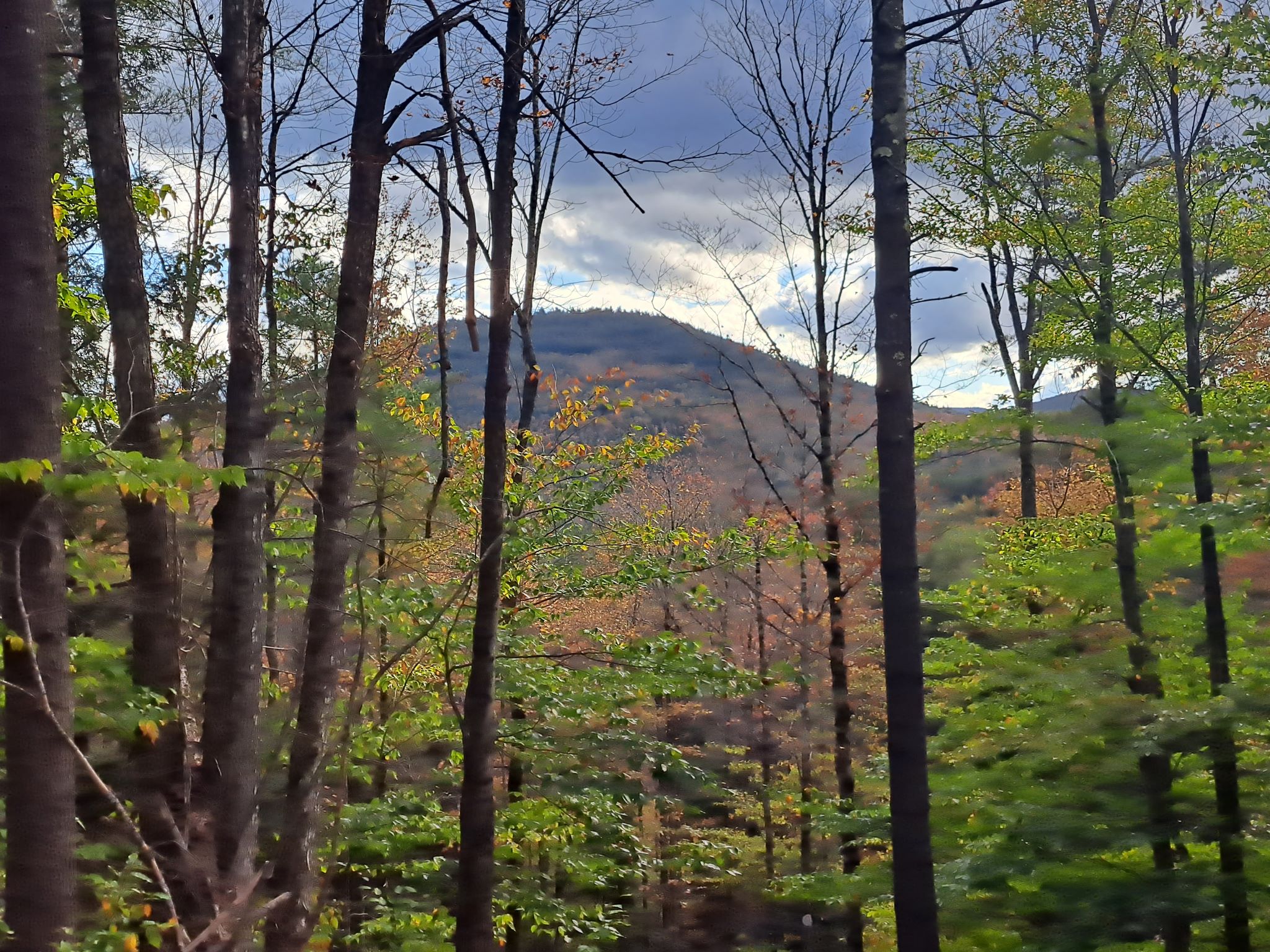 Hudson River Woods & Water