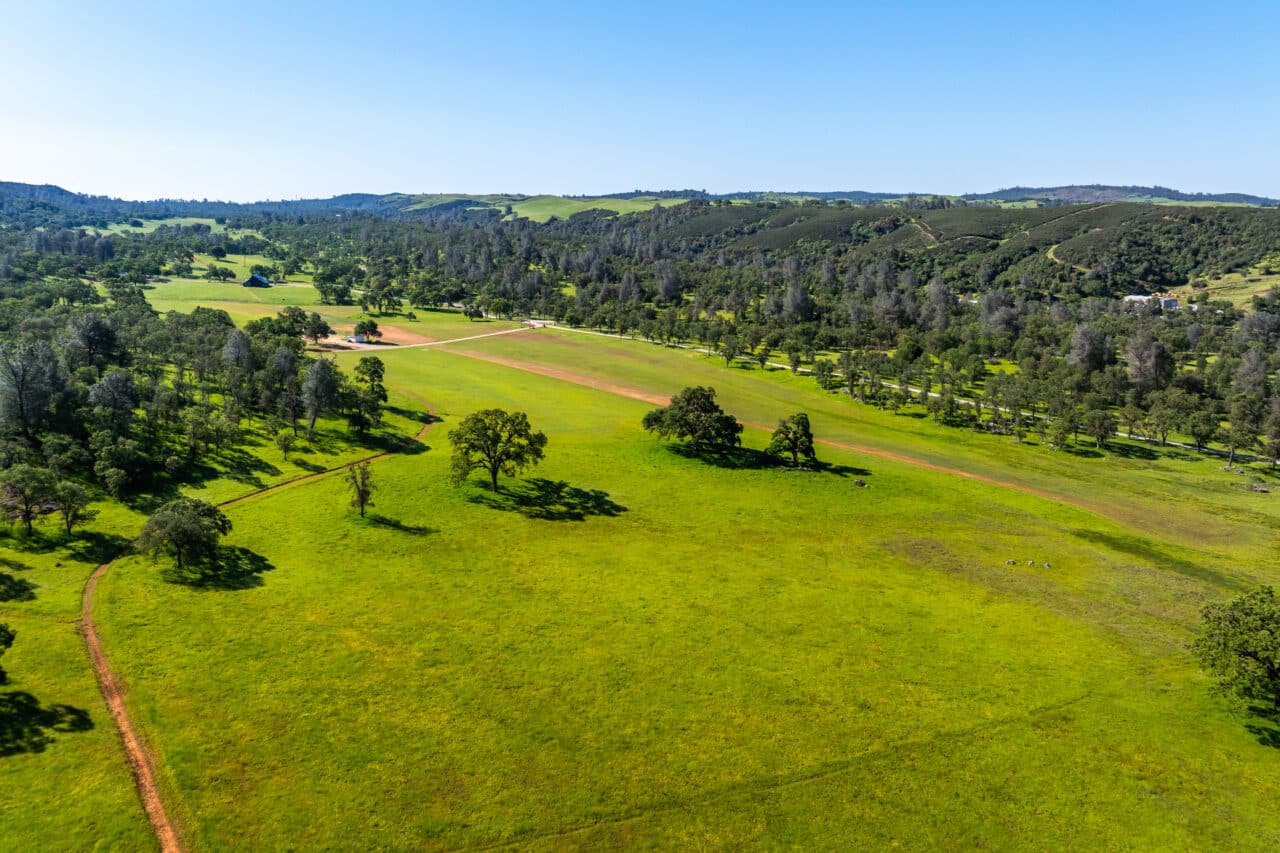 The Gann Ranch