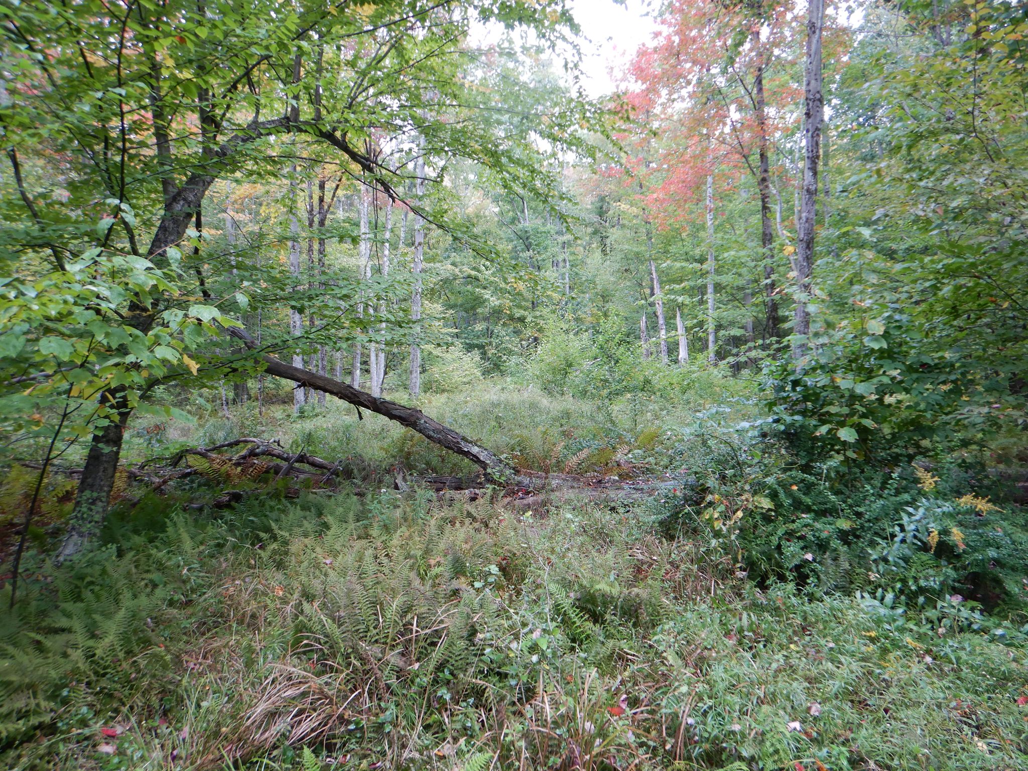 Listing Image 21