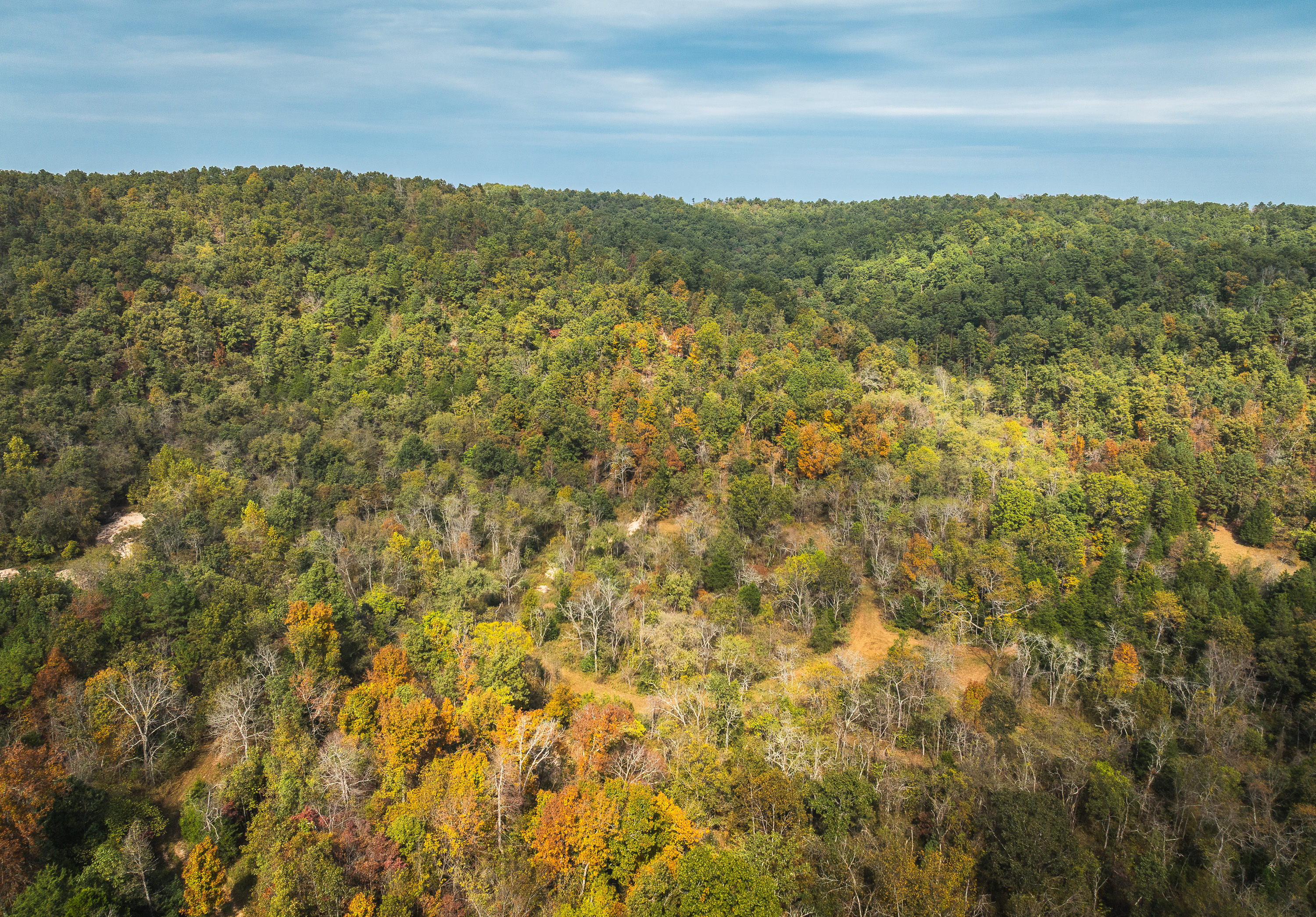 Little Gladden Creek Hunter