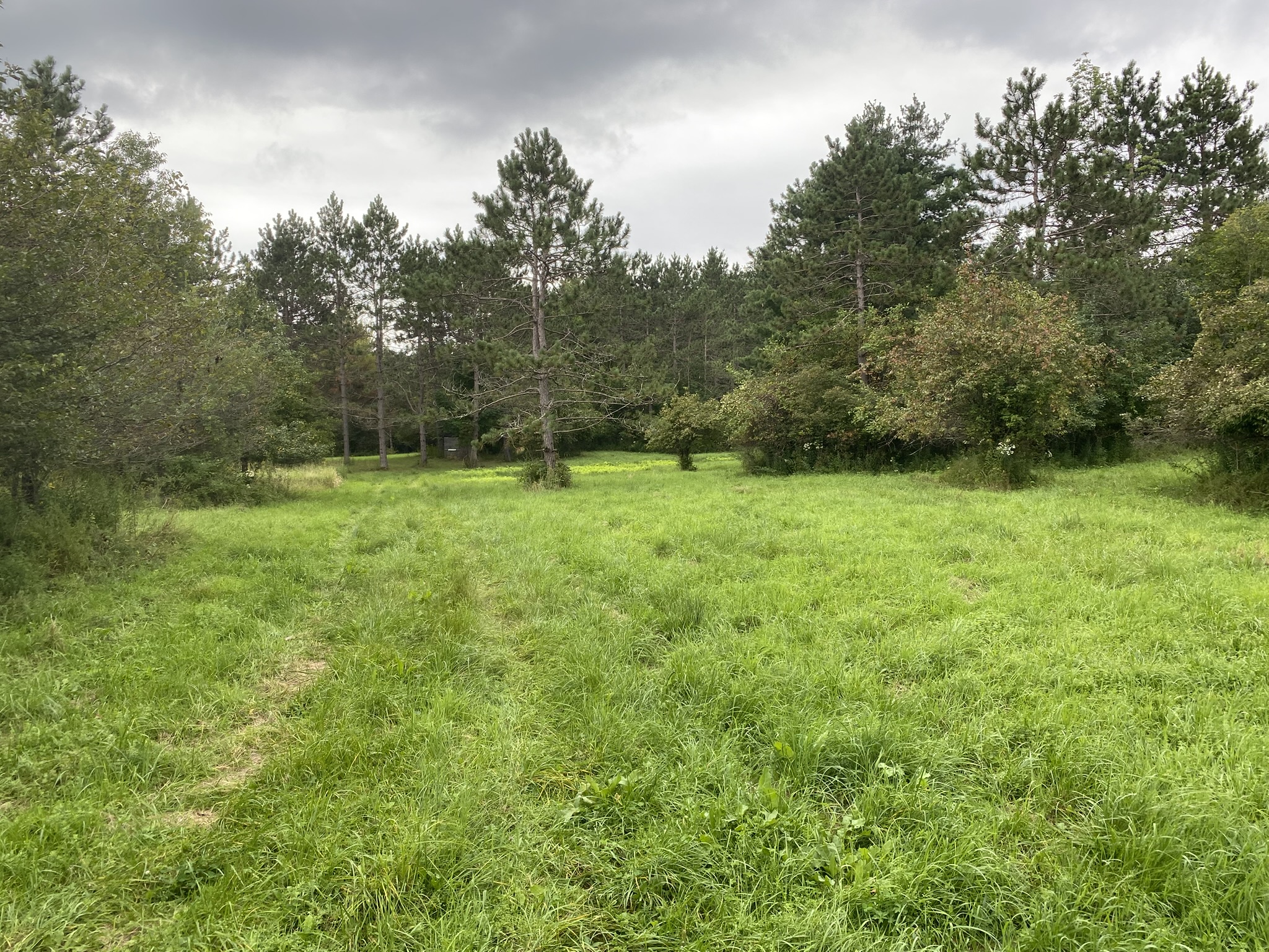 Listing Image 55