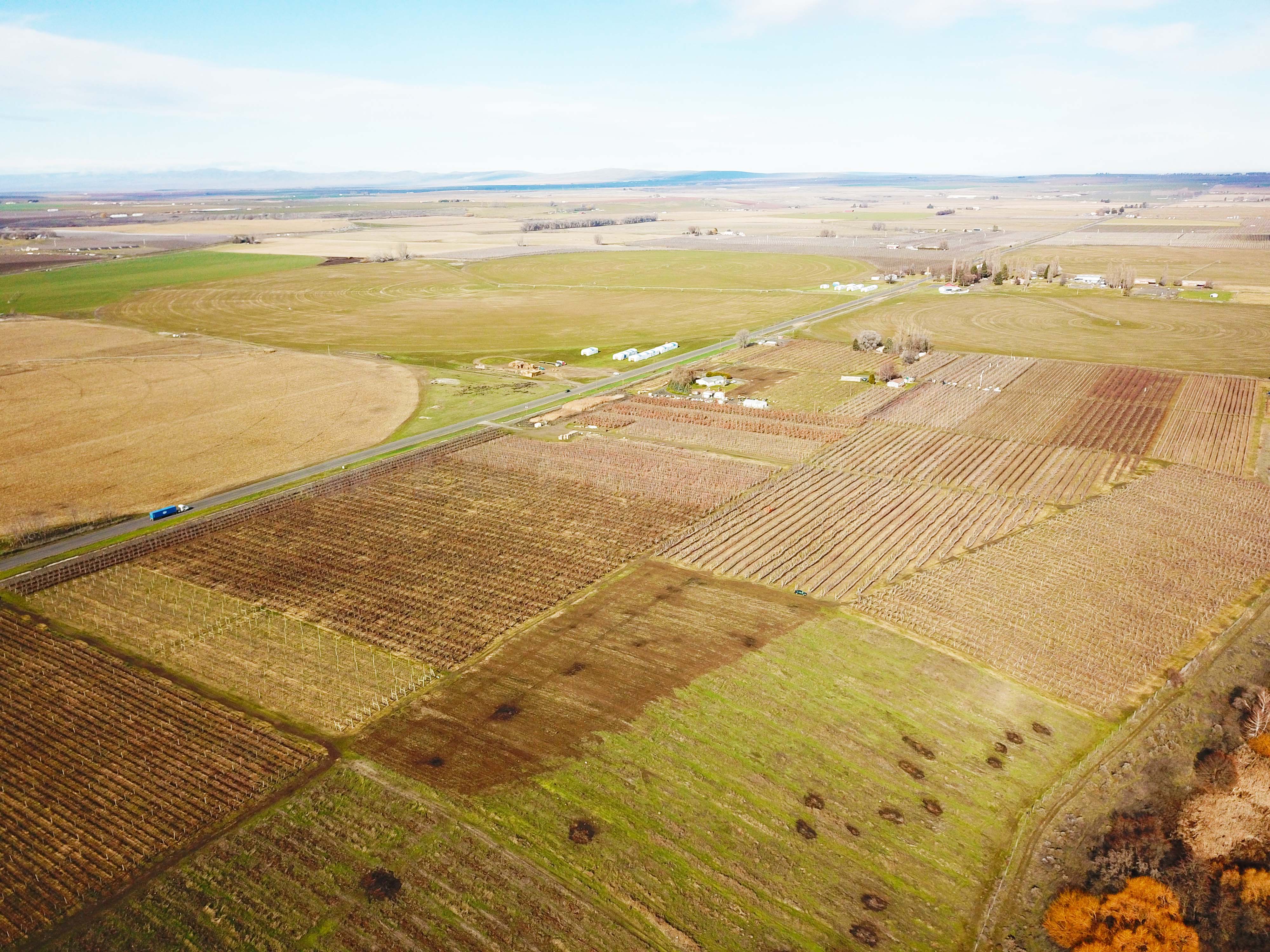 Best Price in County for Productive Orchard