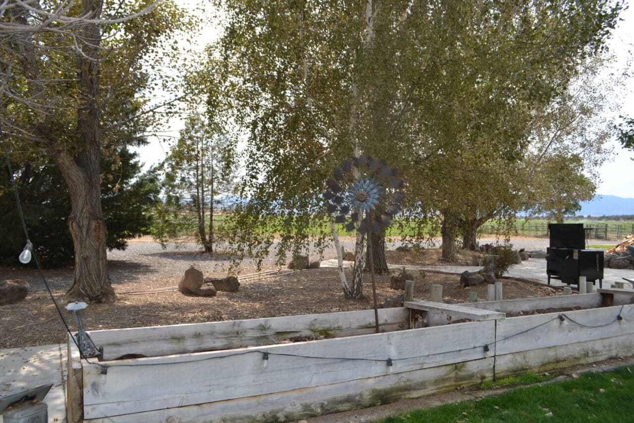 Listing Image 62