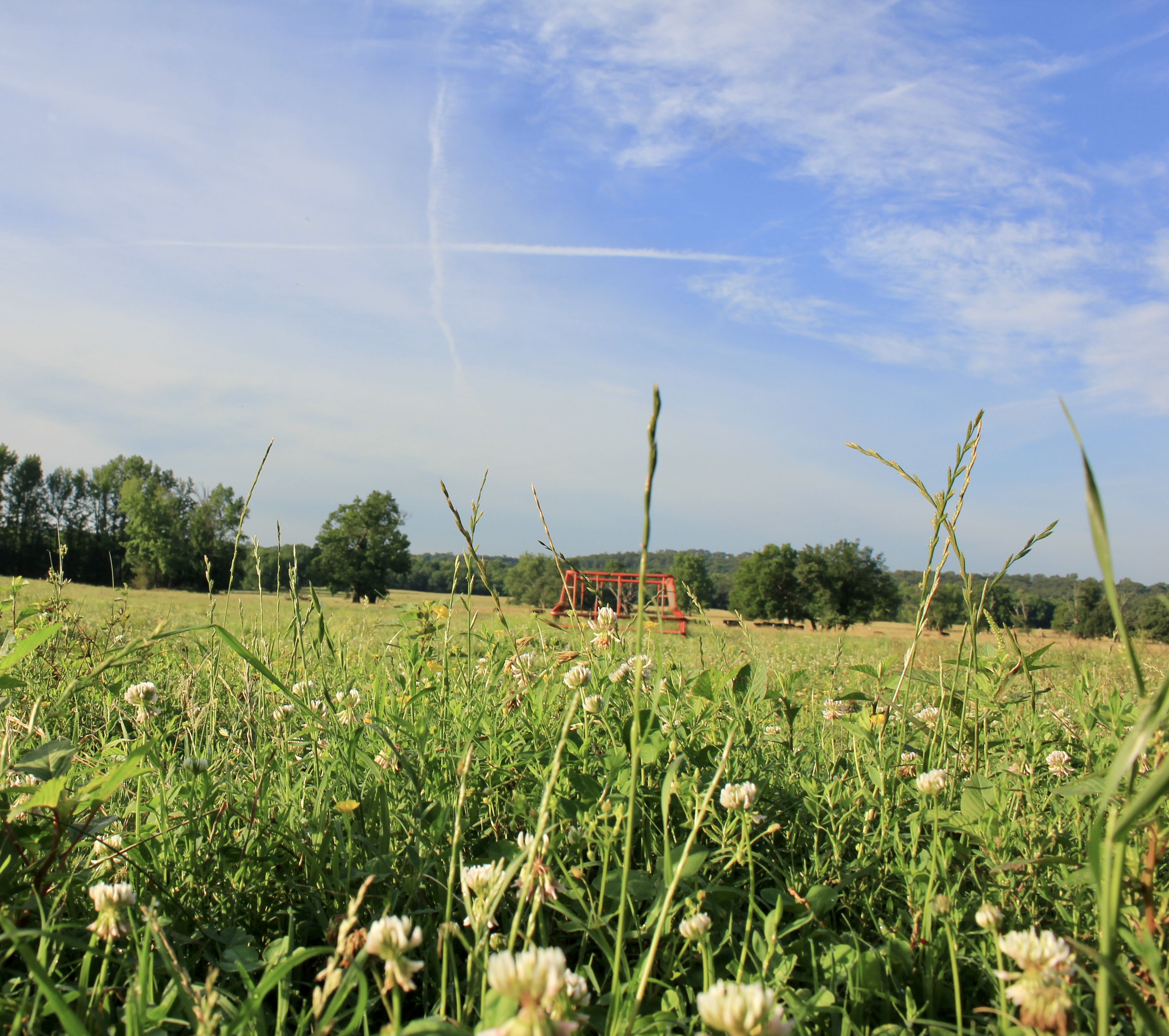 River Valley Rotational Grazing