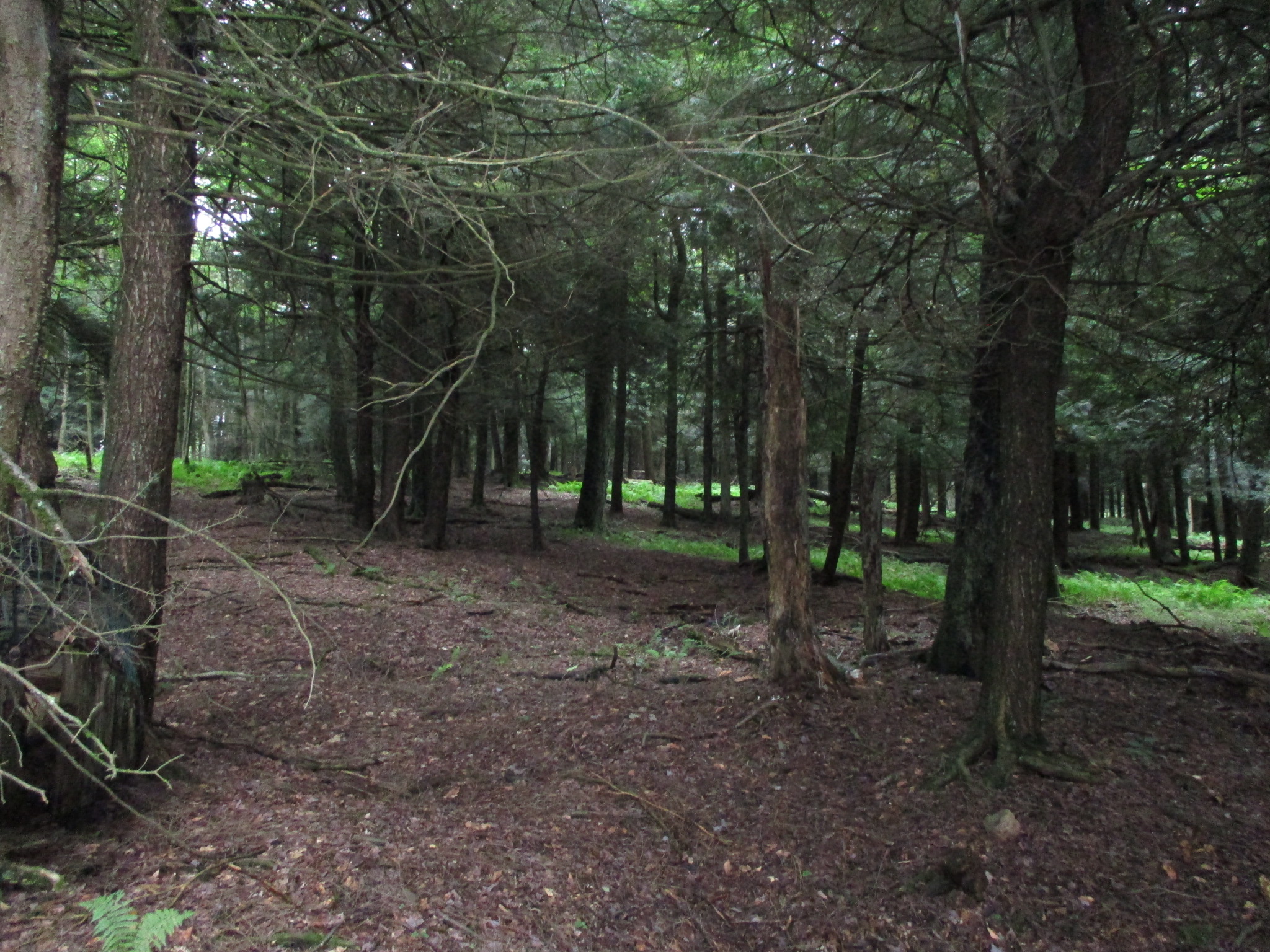 Listing Image 35