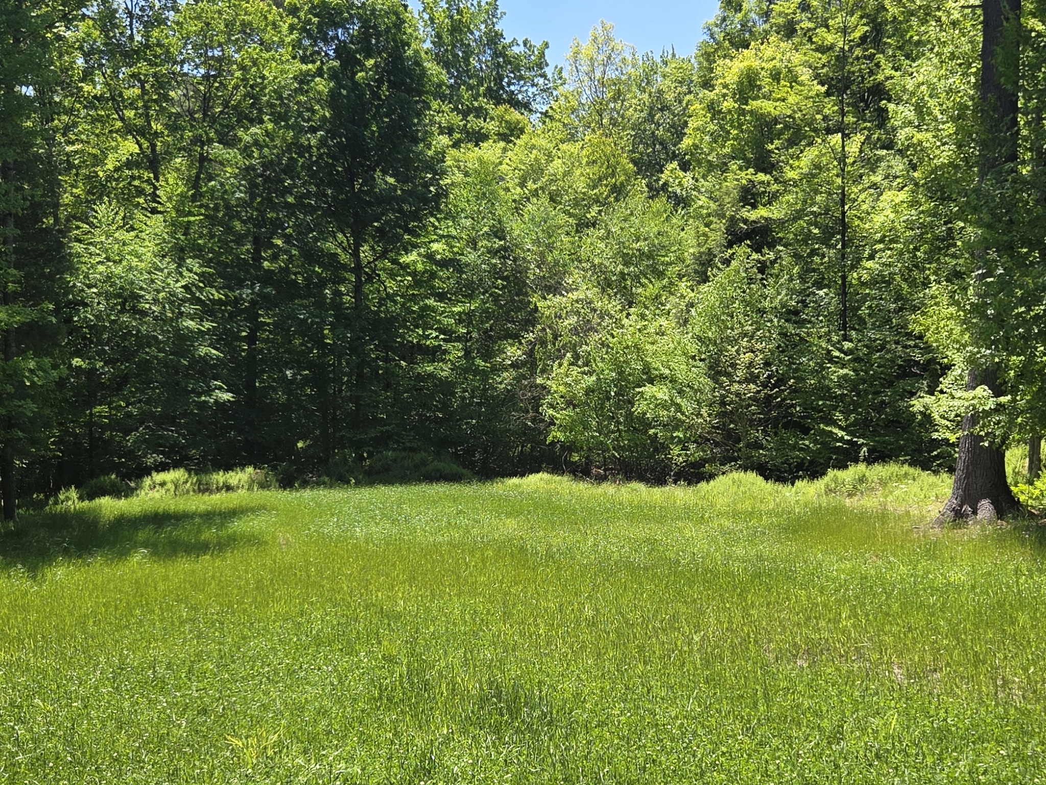 Listing Image 31